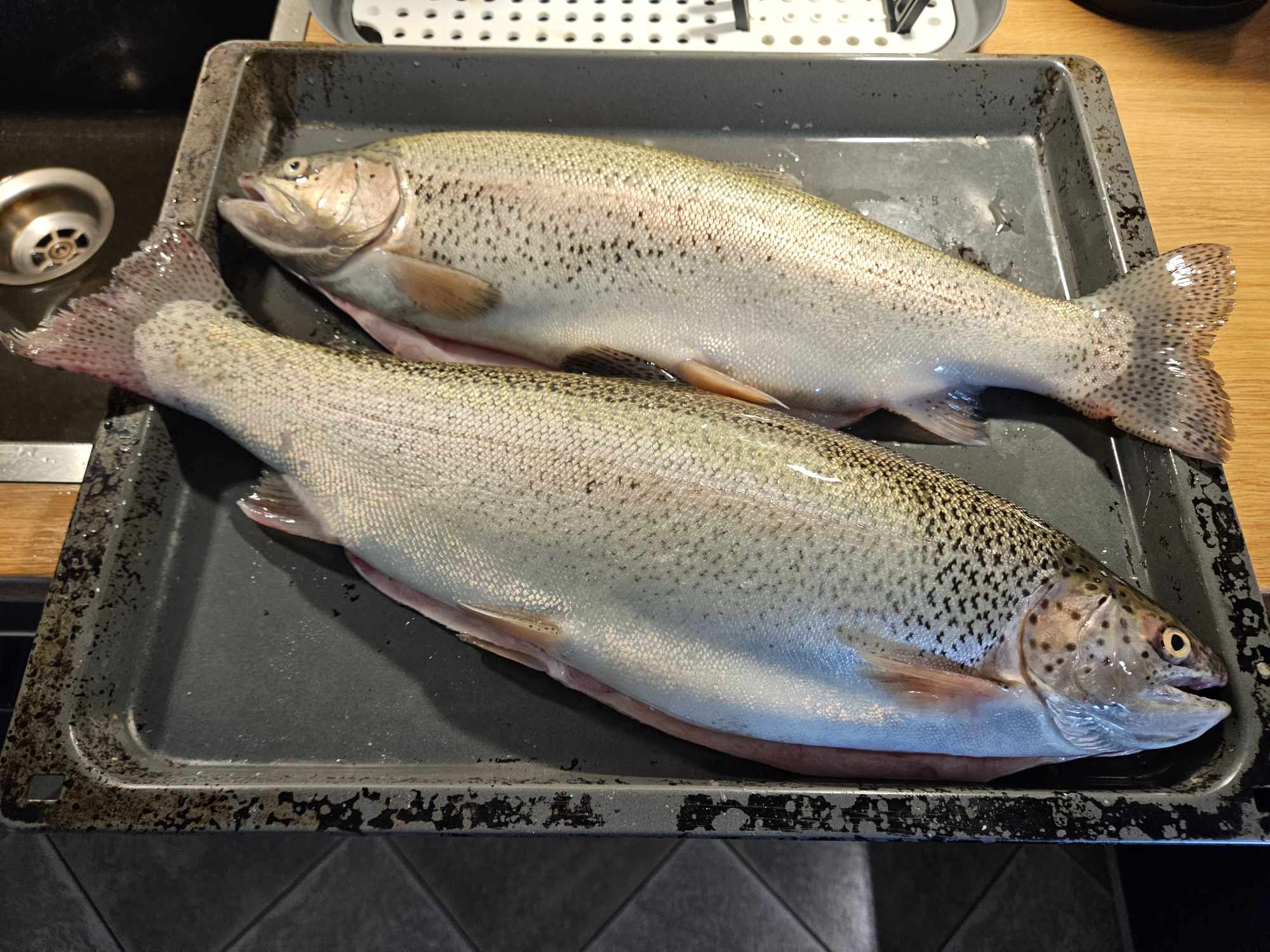 Rybárna Zlatá Olešnice foto 4