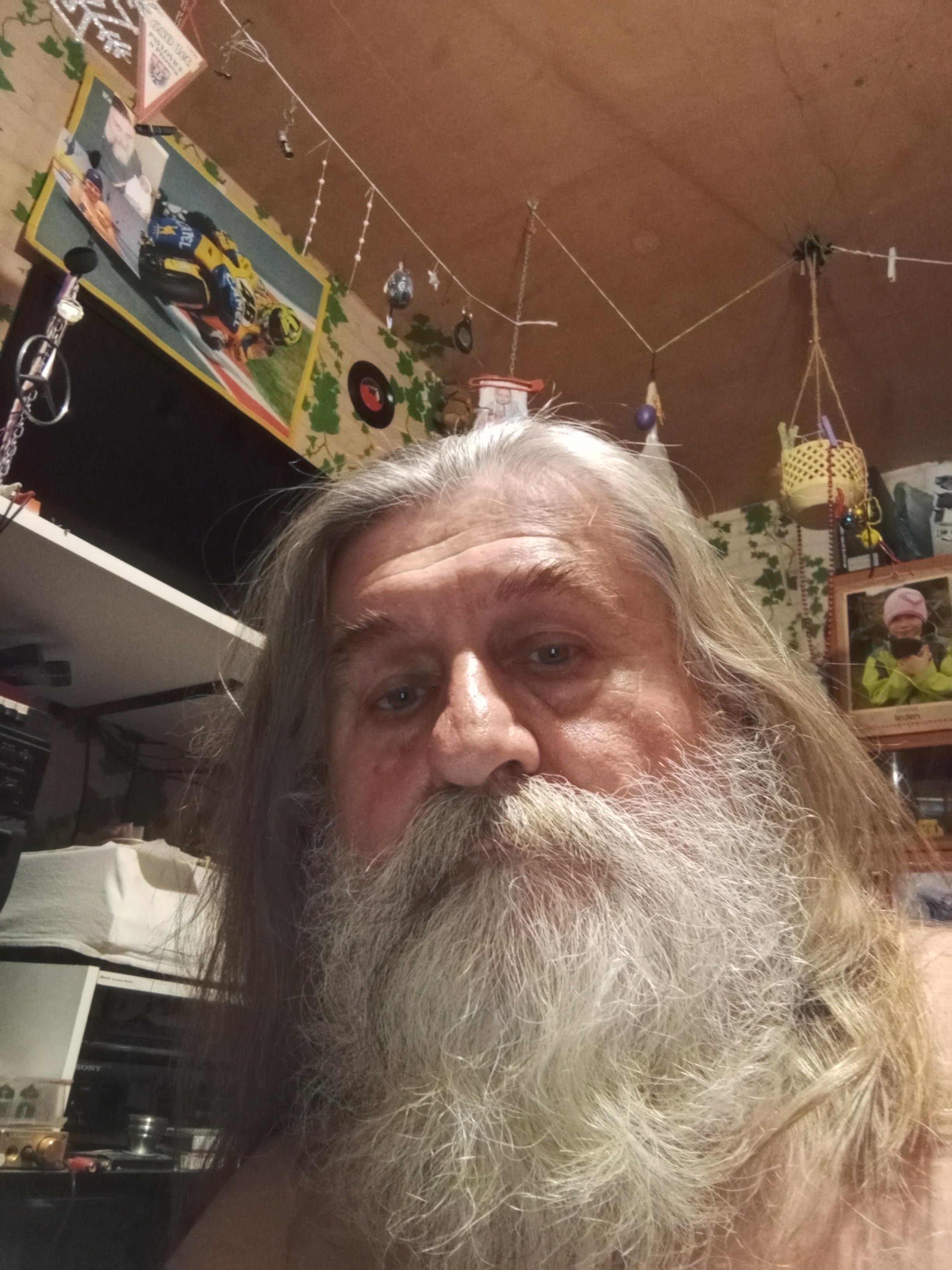 Prodej DVD Buňatová foto 3