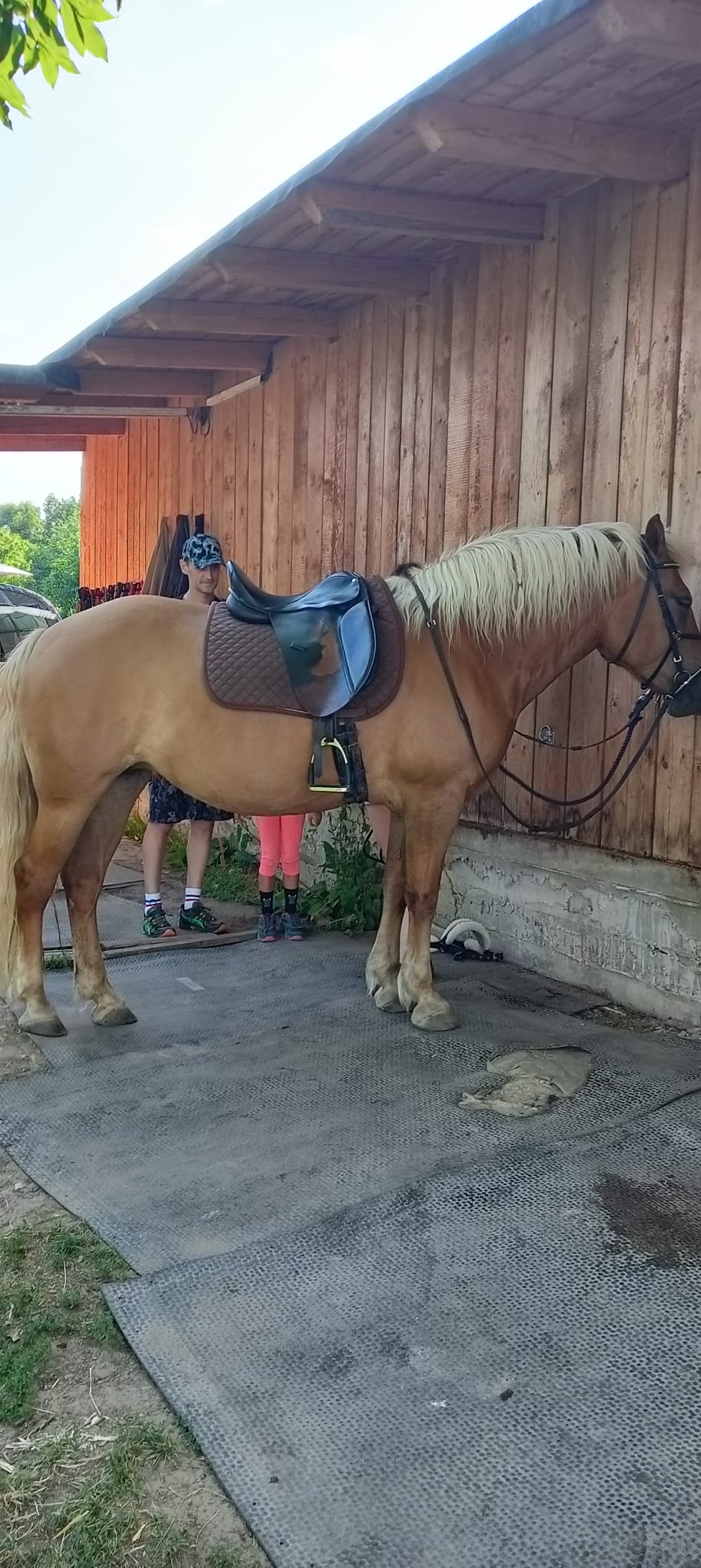 Stáj Olešnice foto 2