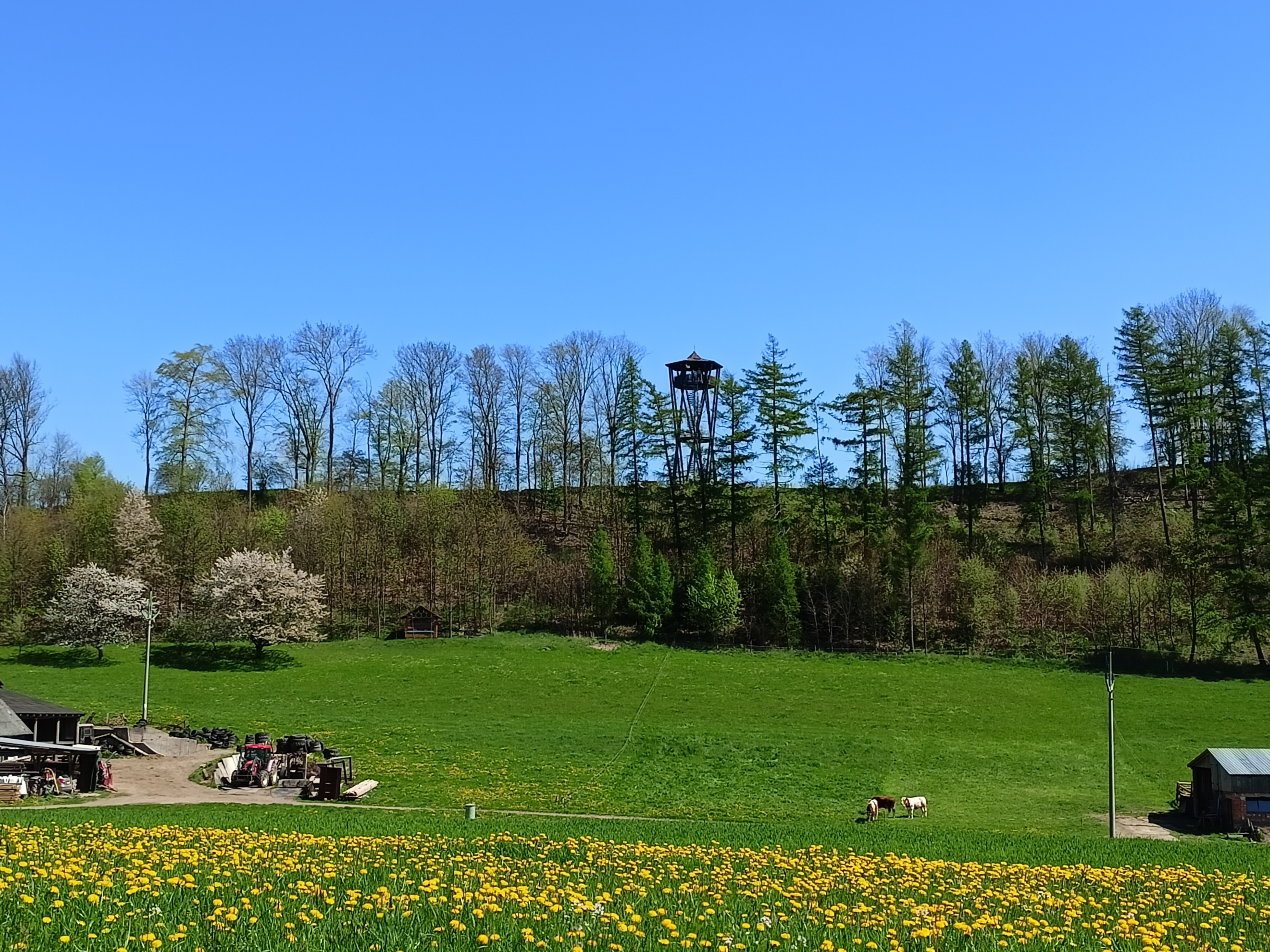 Vysoká Srbská - obecní úřad foto 5