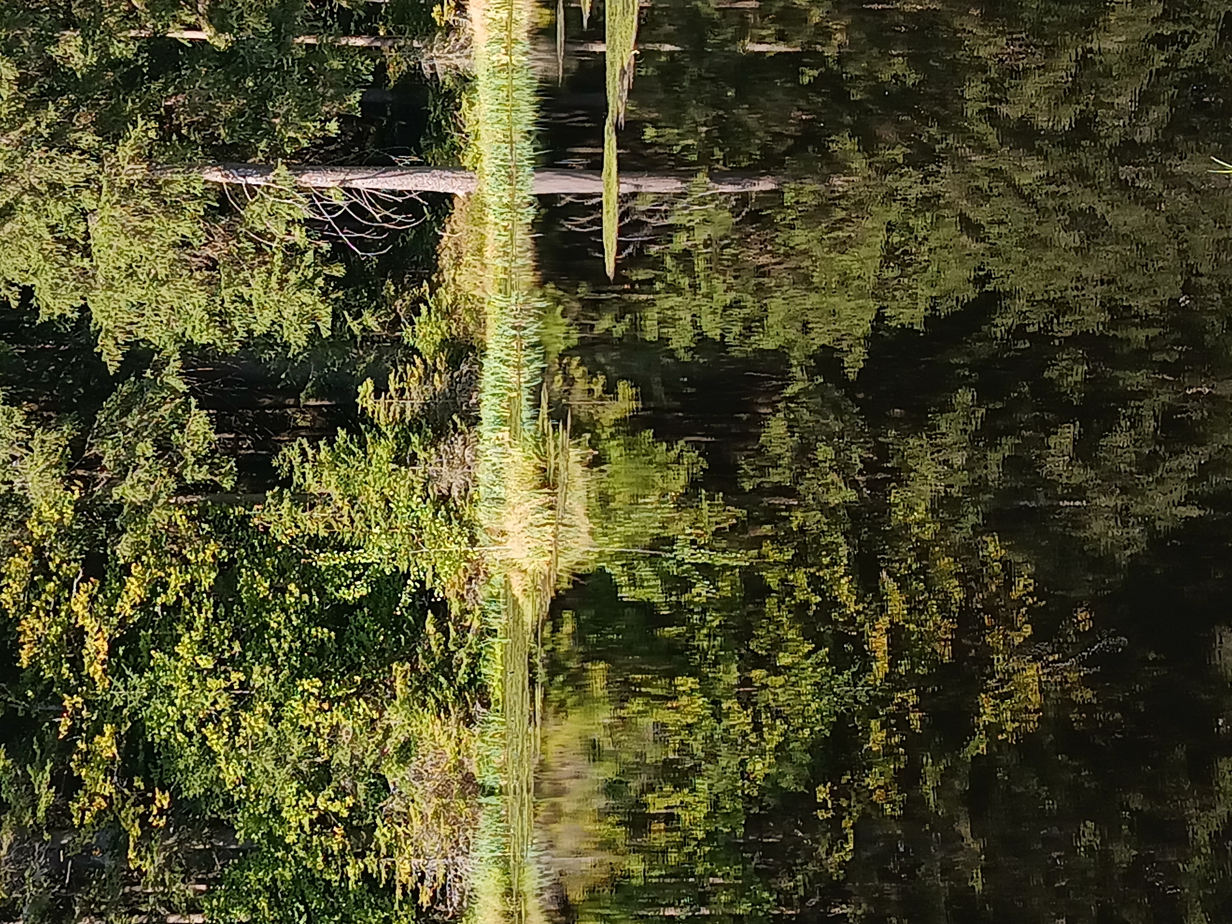 Chaloupka U Trnků foto 5