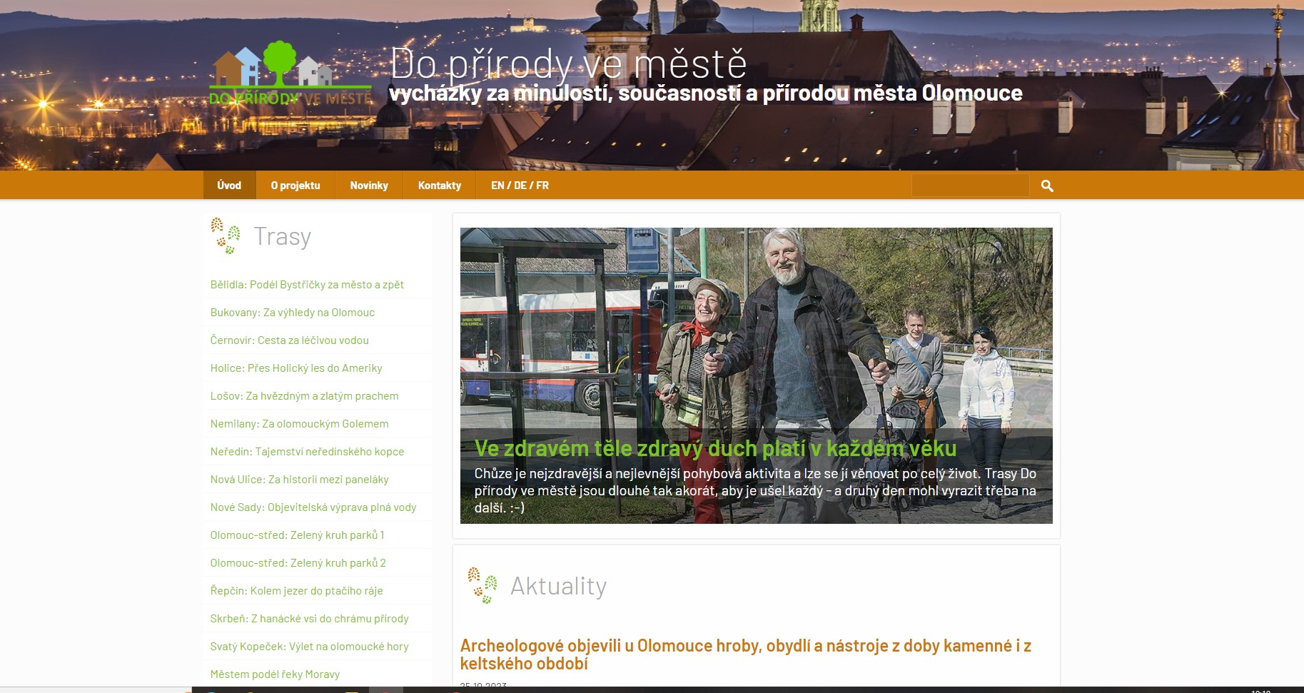 banan.cz - webhosting foto 2