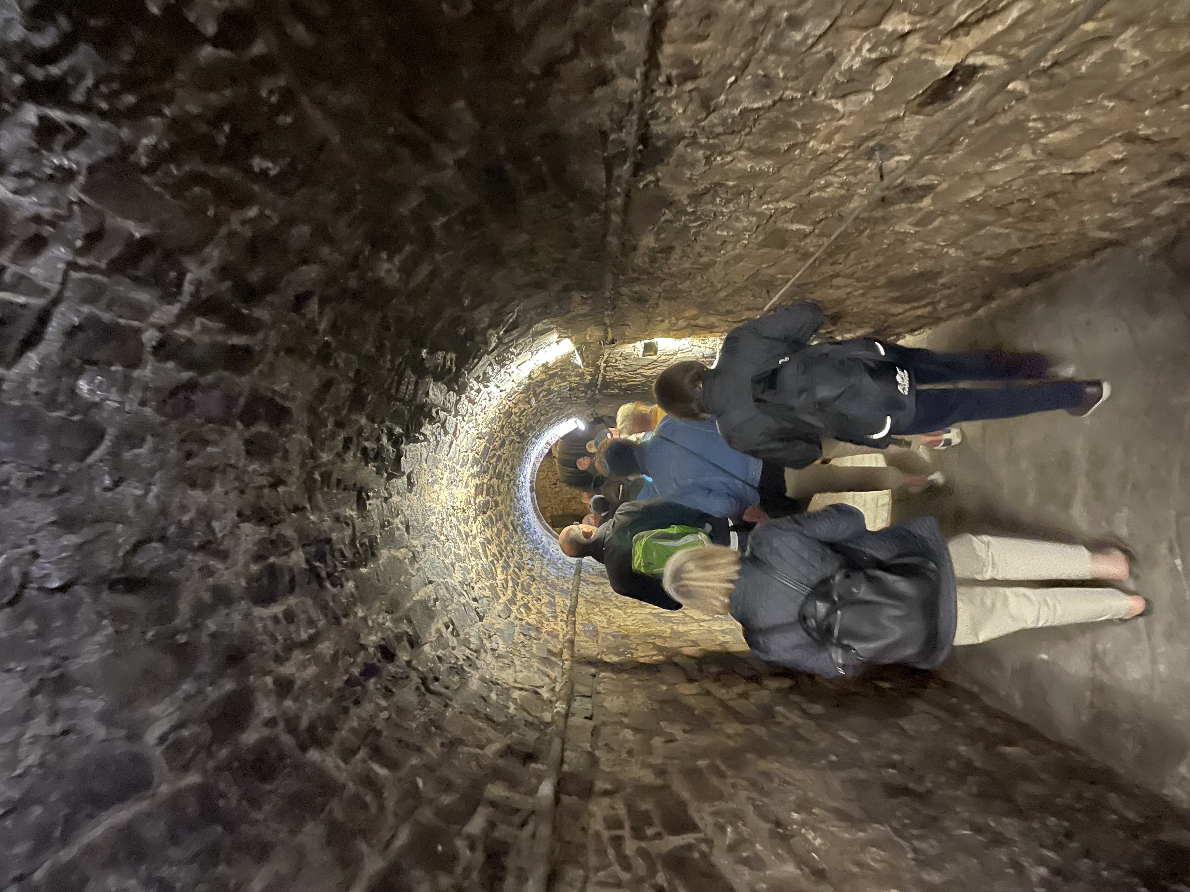 Žernosecké vinařství foto 6