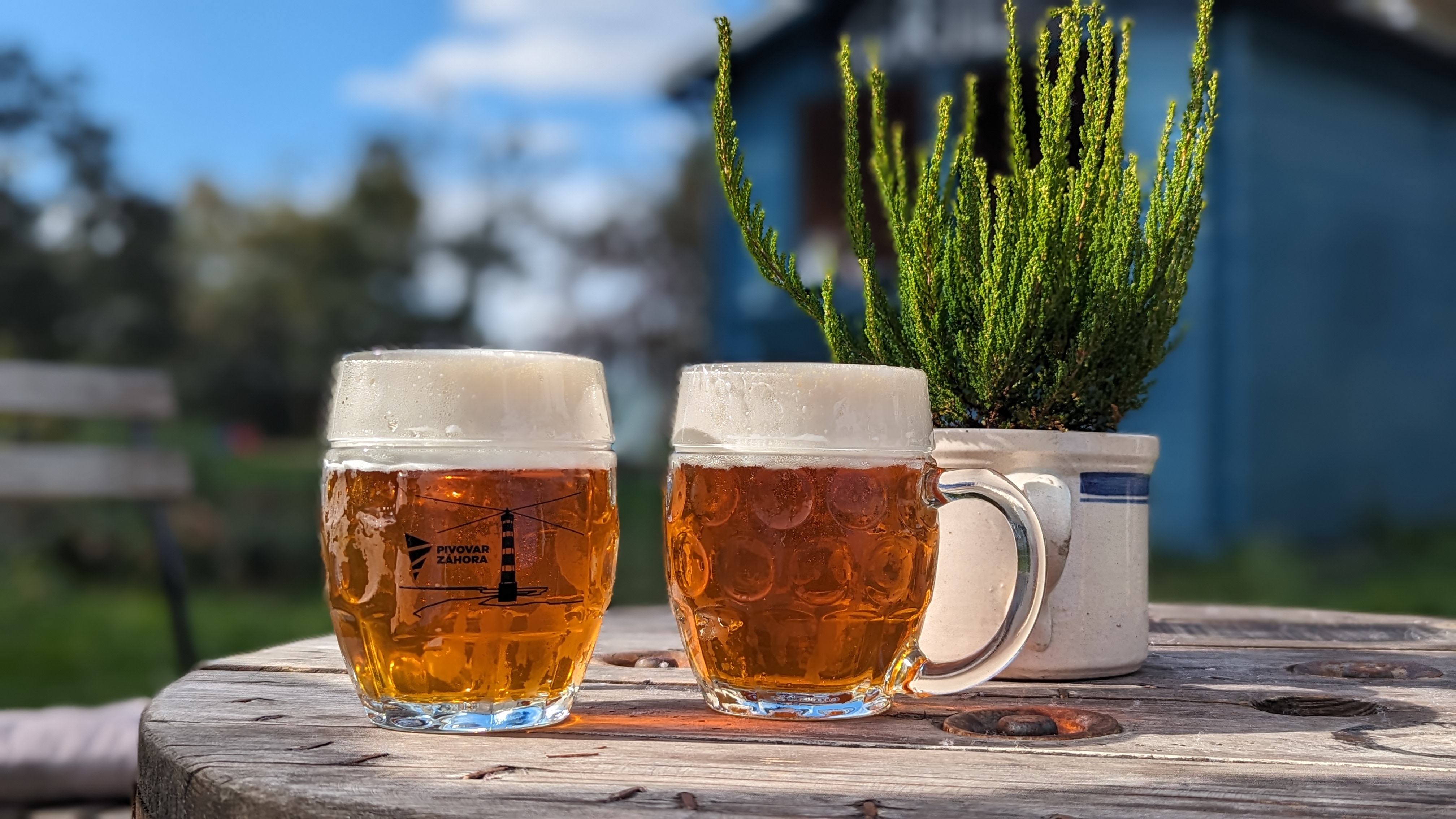 Kolo Bistro foto 4