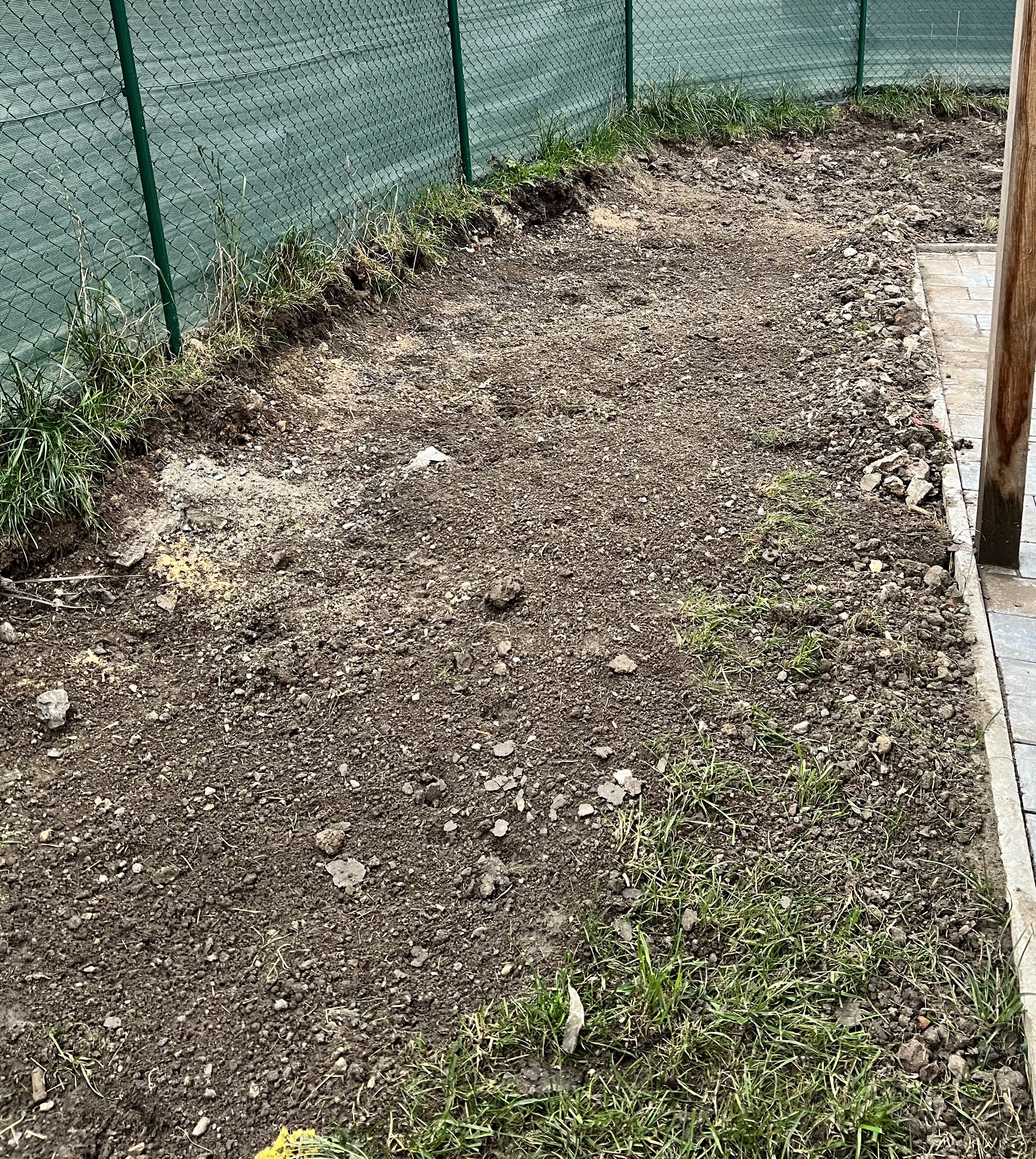 Půjčovna Hrubý foto 6