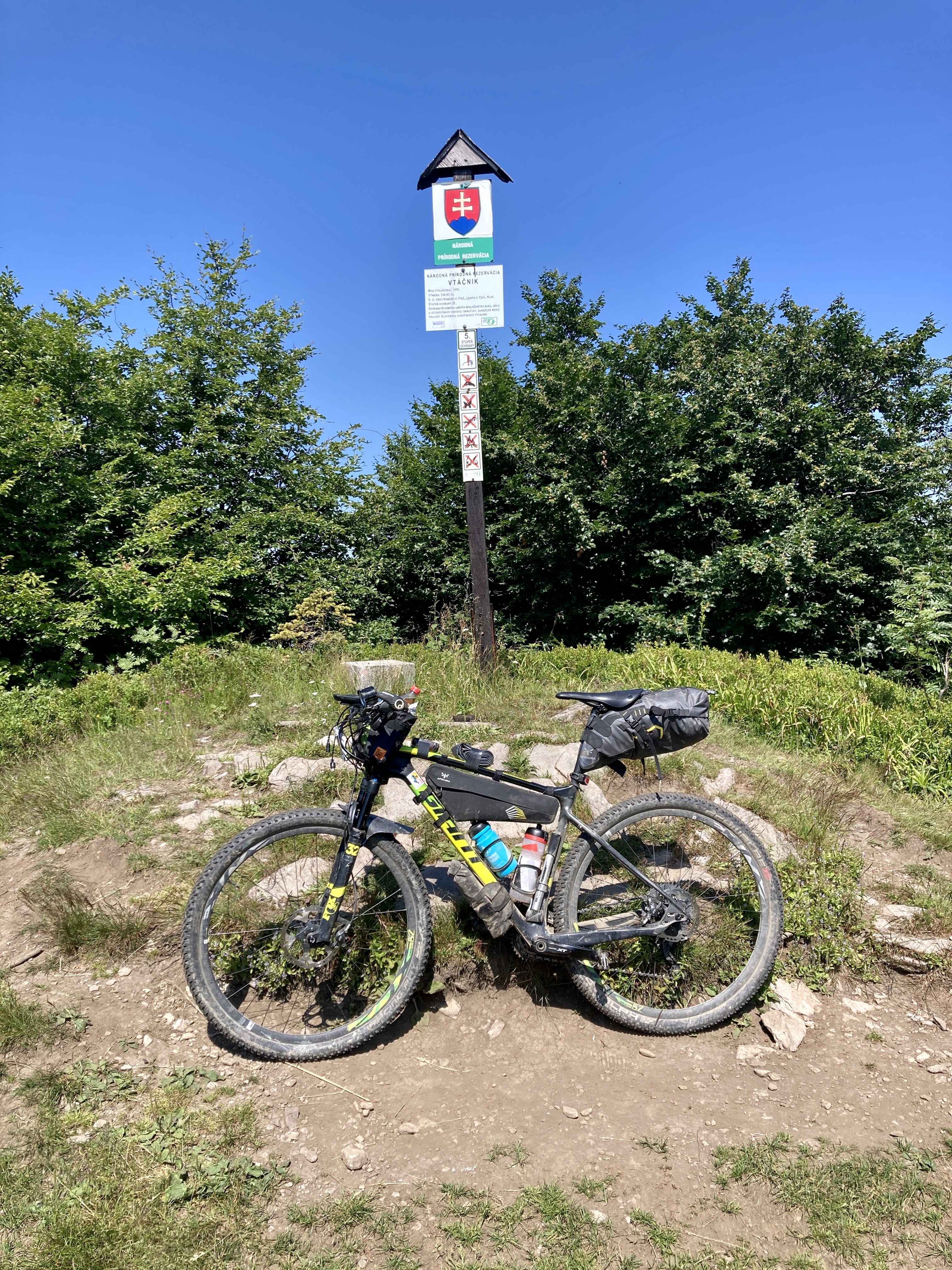 Koloservis veselá kočička foto 2