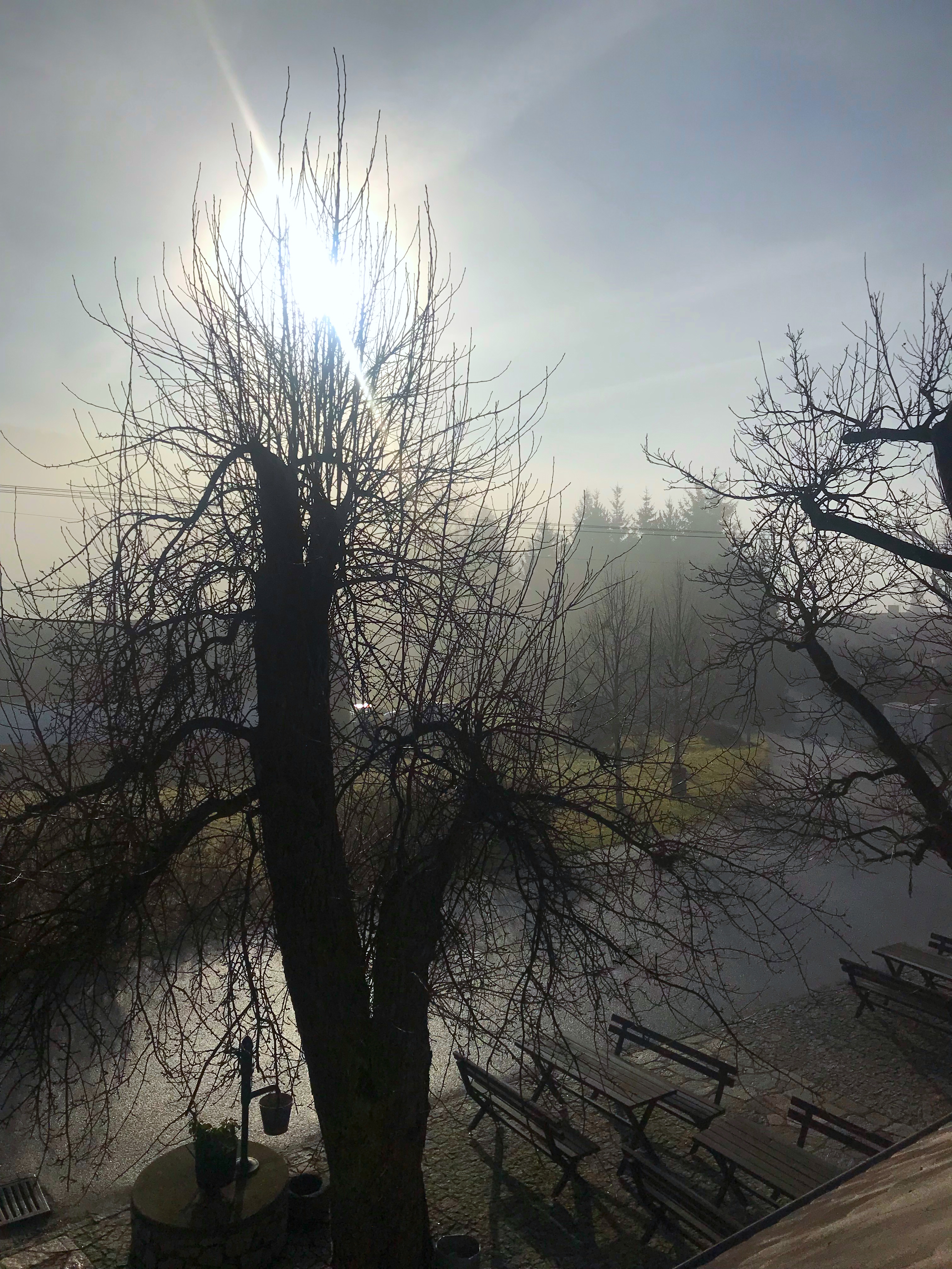 Hostinec U Báby Lišků foto 4