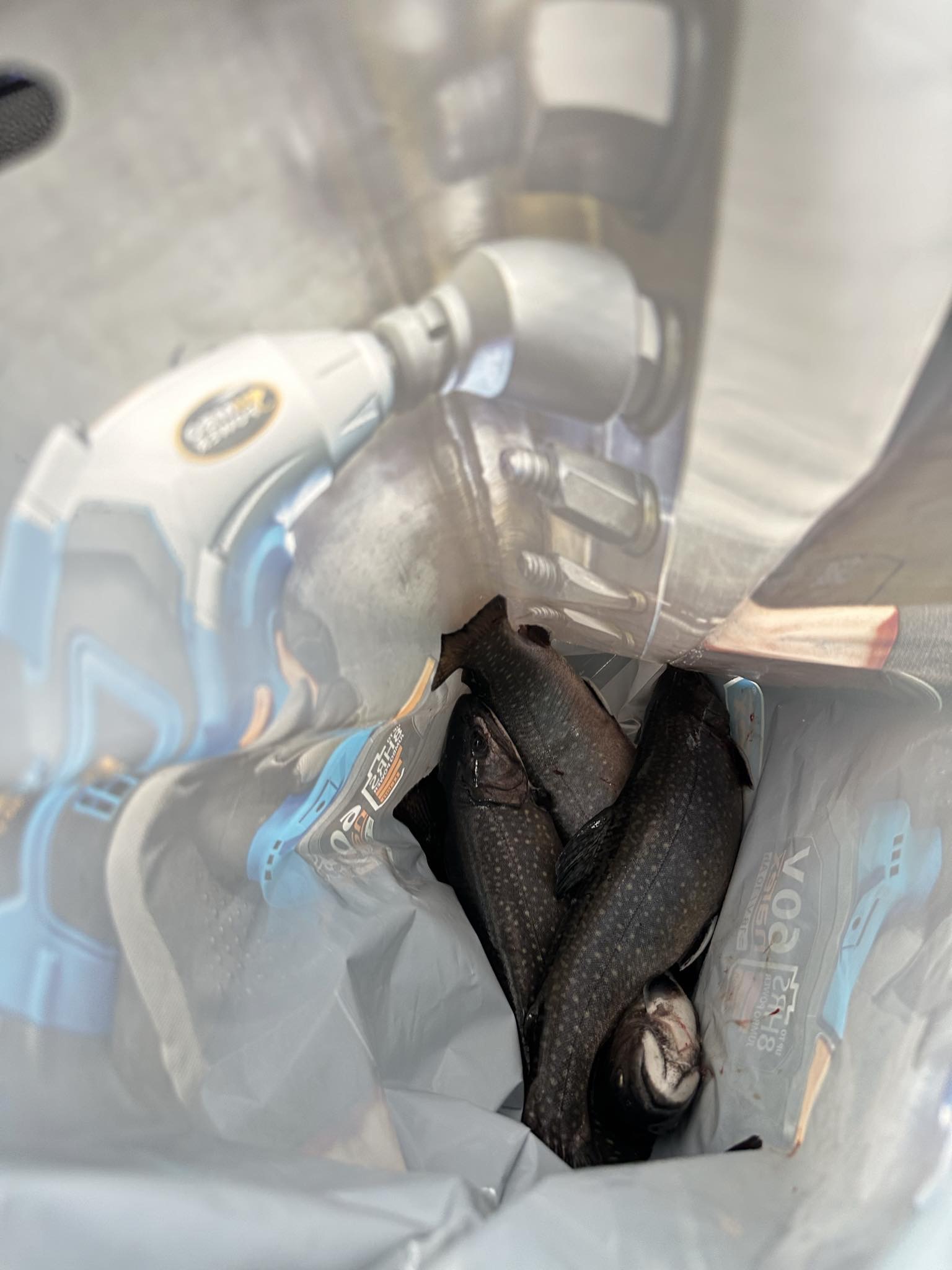 RYBÁŘSTVÍ LITOMYŠL, s.r.o. foto 2