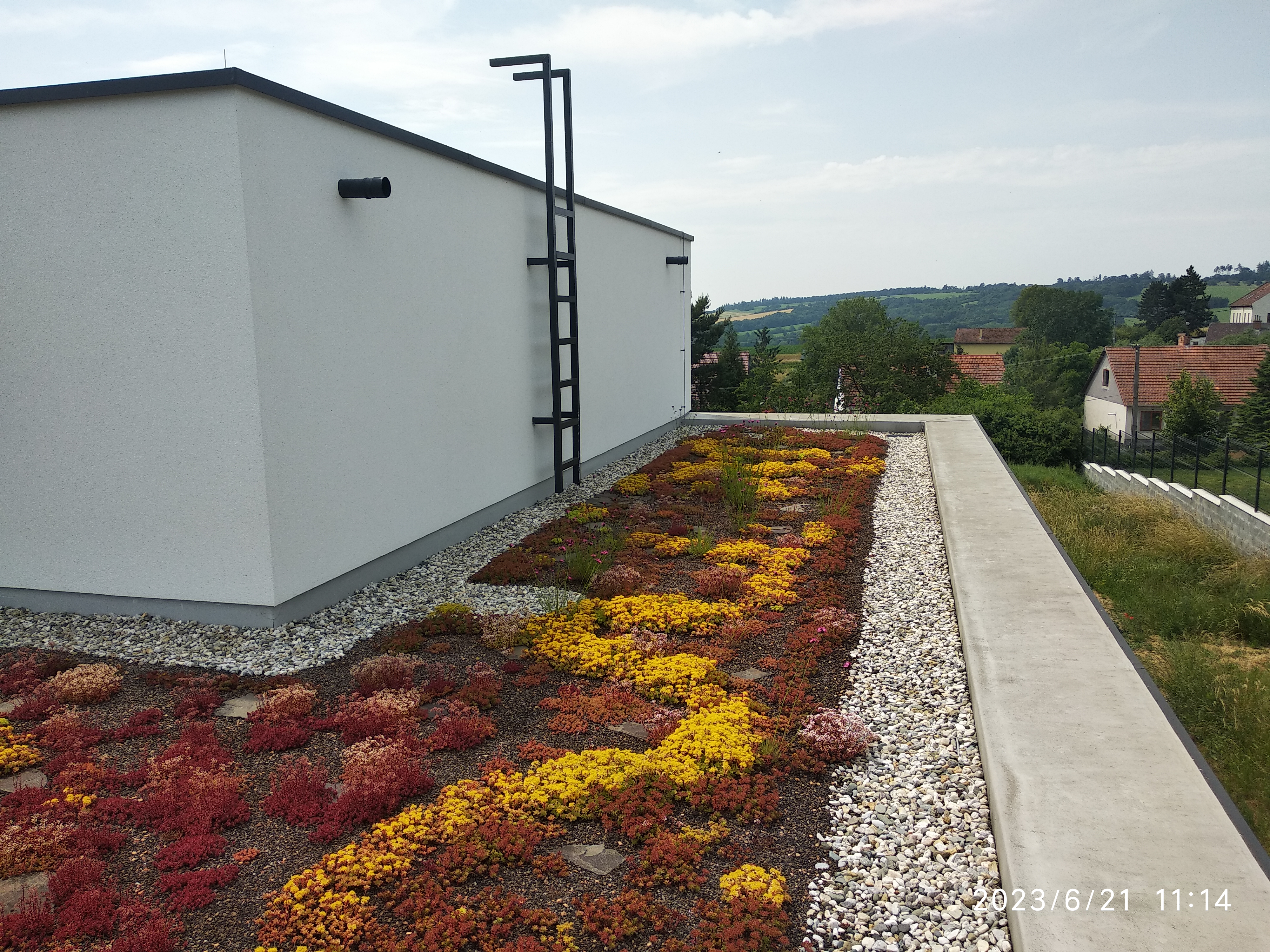 GreenVille - zelené střechy foto 6