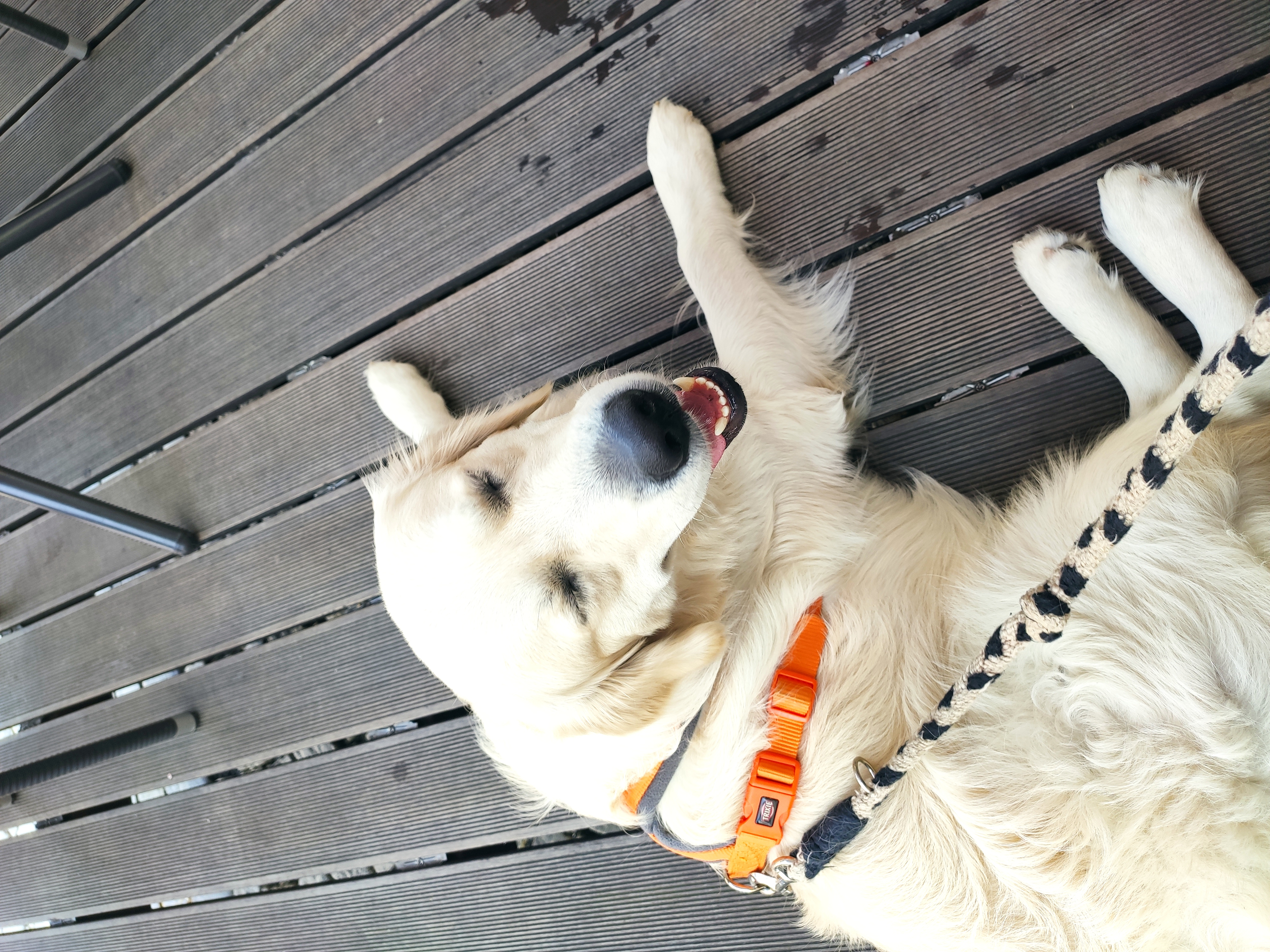 Cukrárna a kavárna Mléčná foto 5