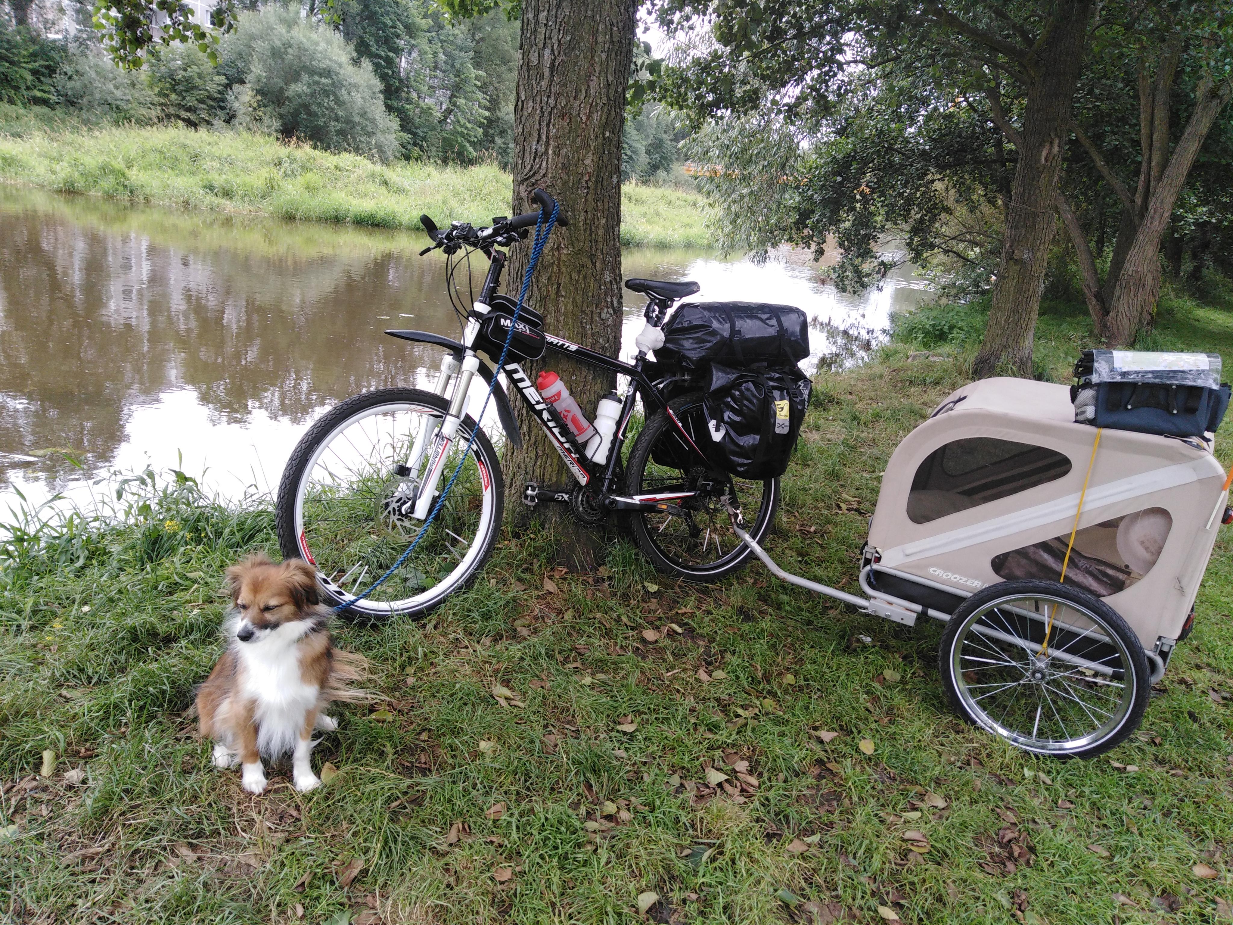 Velo Plzen Tomáš Hein - profesionální servis jízdních kol foto 5