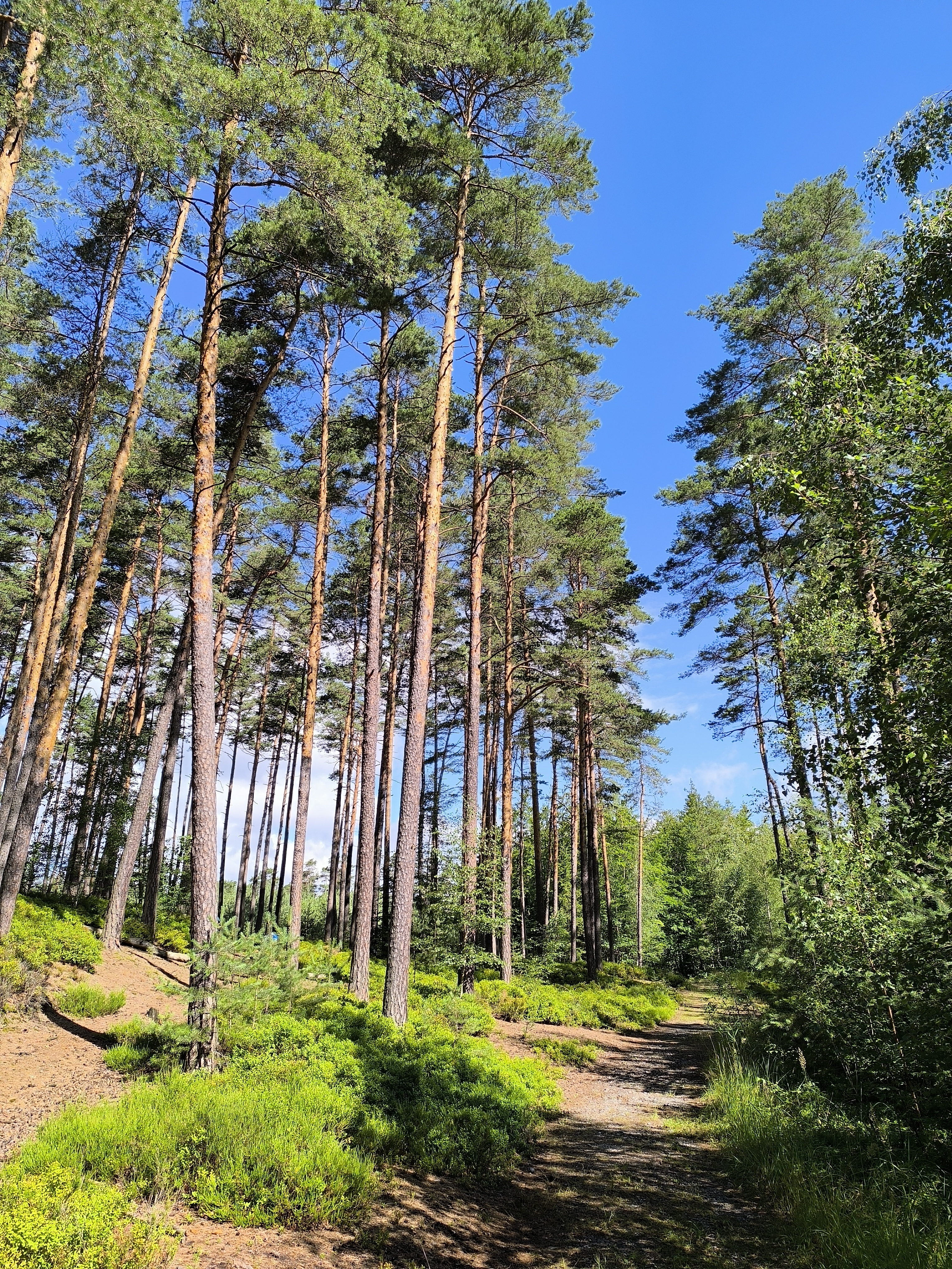 Chatová osada Poříčí foto 5