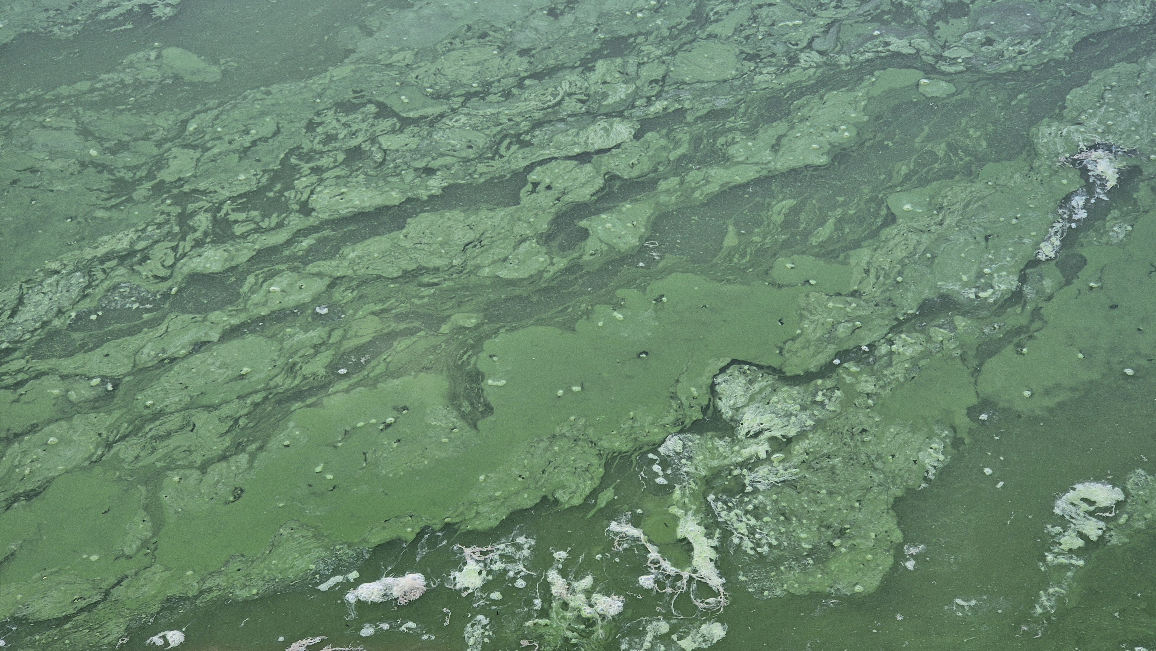 Koupaliště Hamerské jezero foto 6