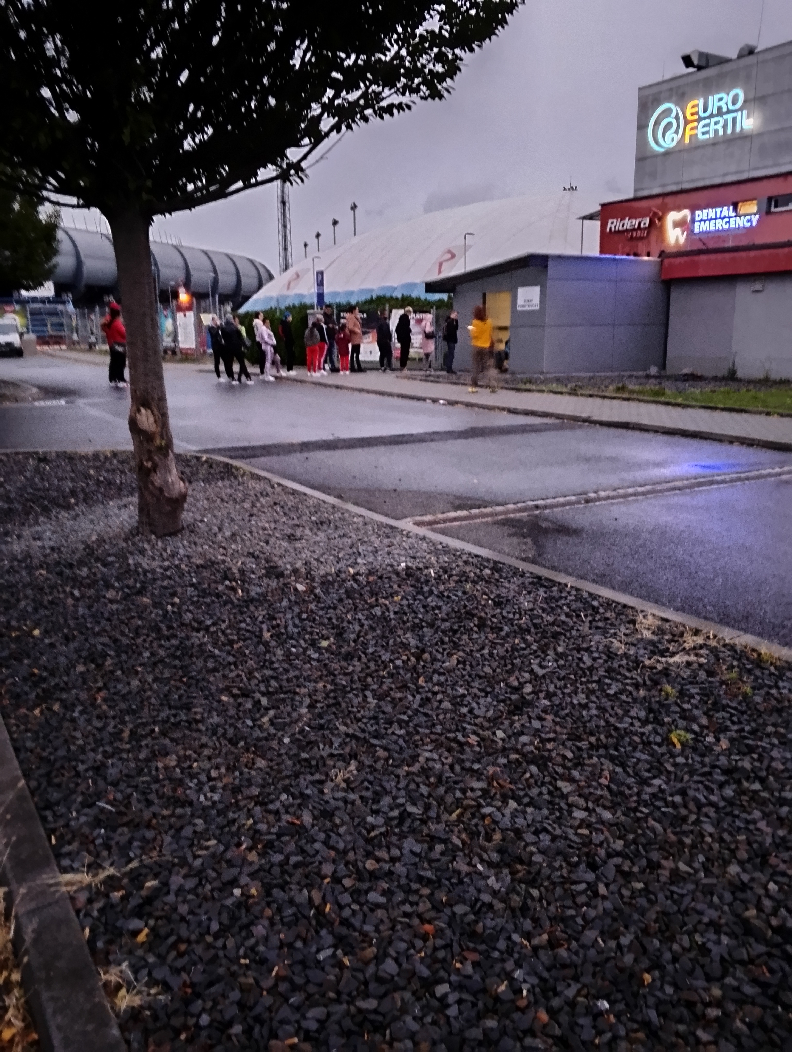 Zubní pohotovost - Dental Emergency foto 4