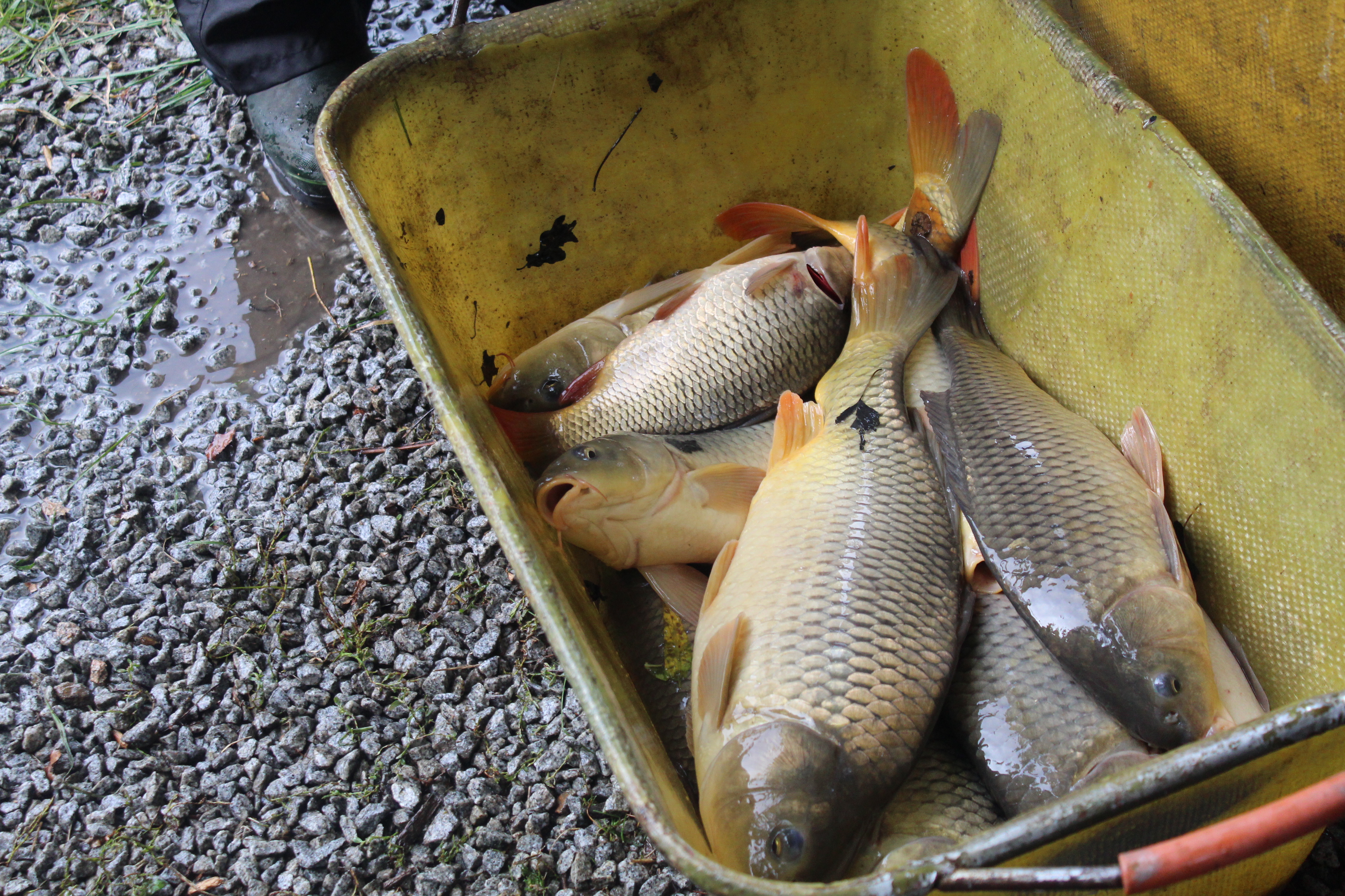 Rybářské potřeby - Vojtěch Jungvirt foto 5