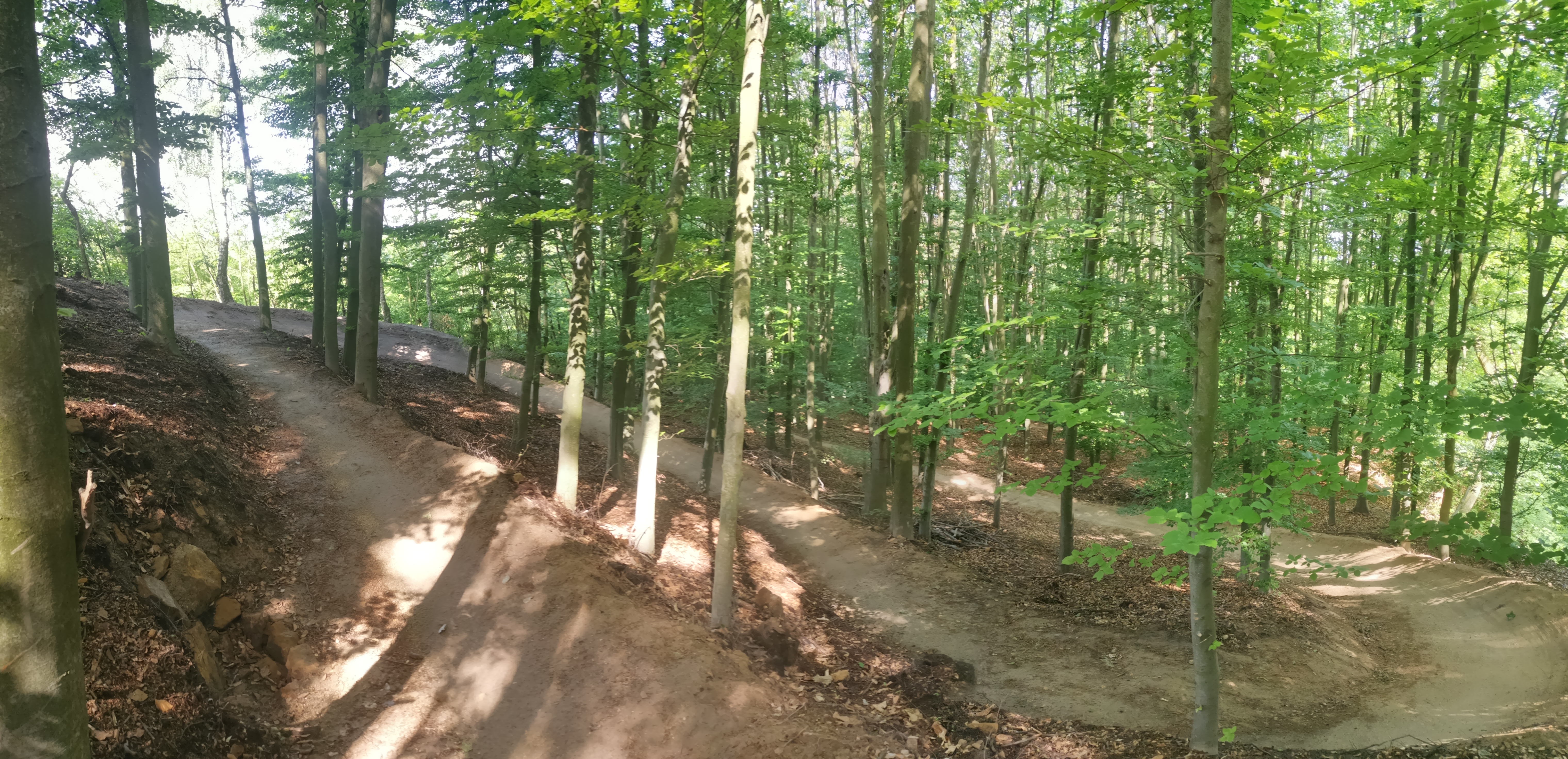 singletrack