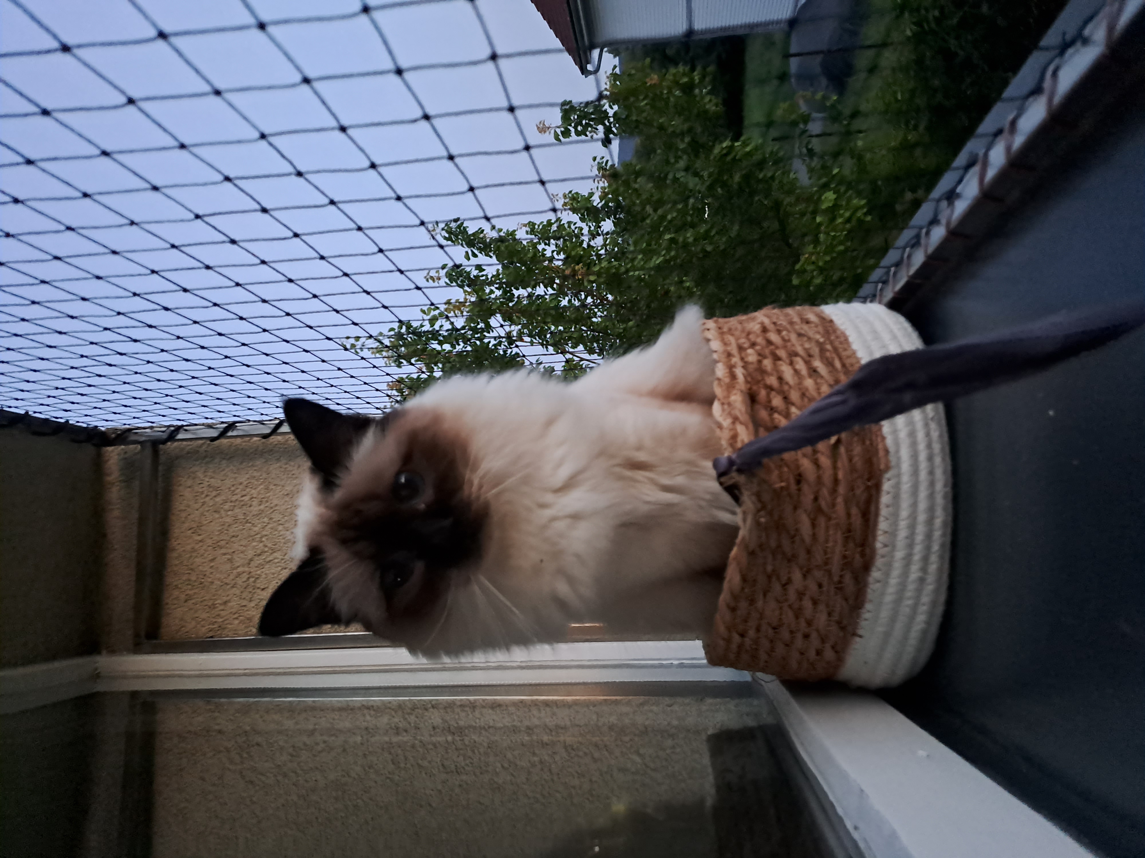 MVDr. Lenka Bořecká foto 5
