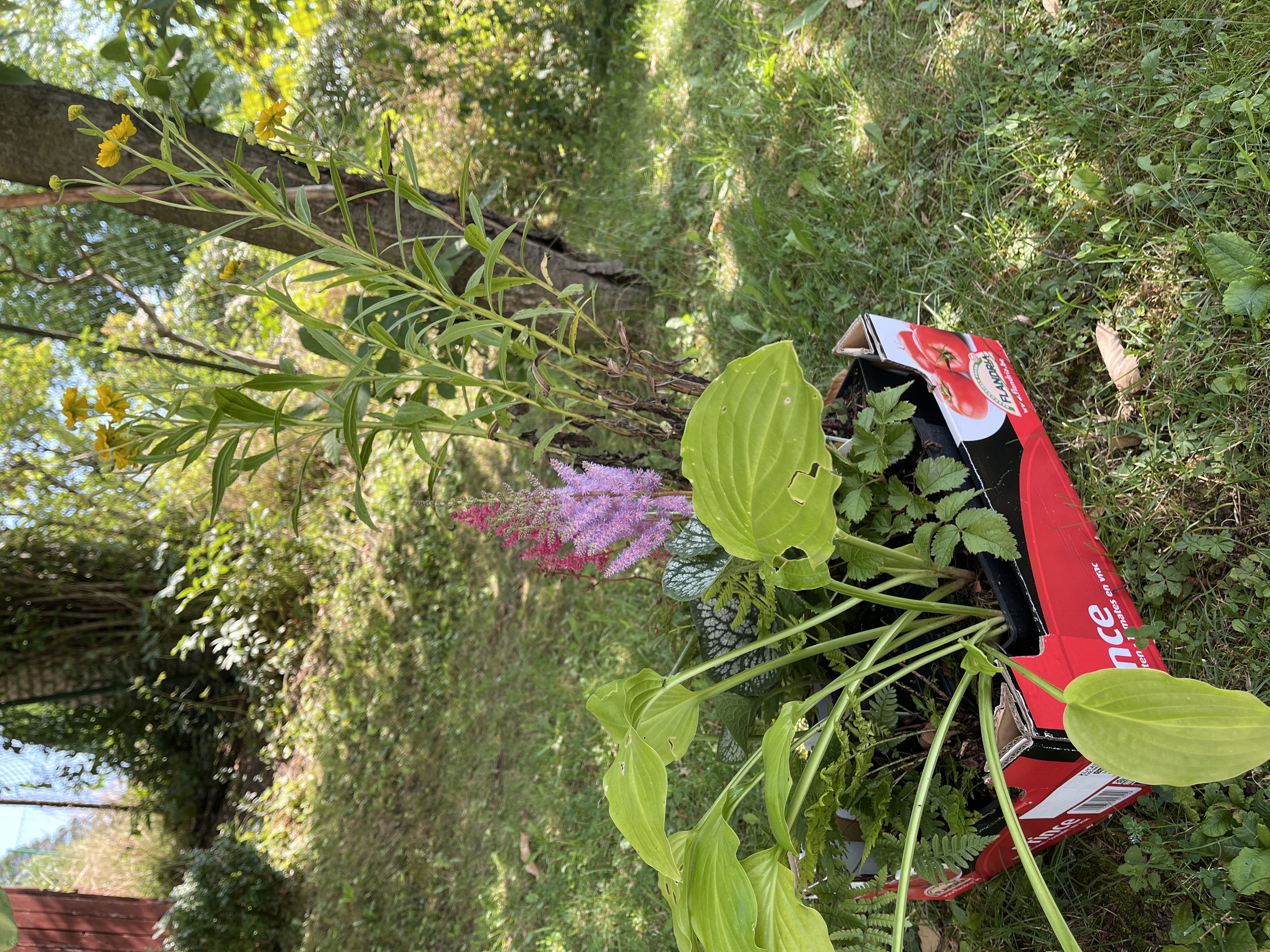 Zahradnictví - ZAHRADY NĚMEC foto 4