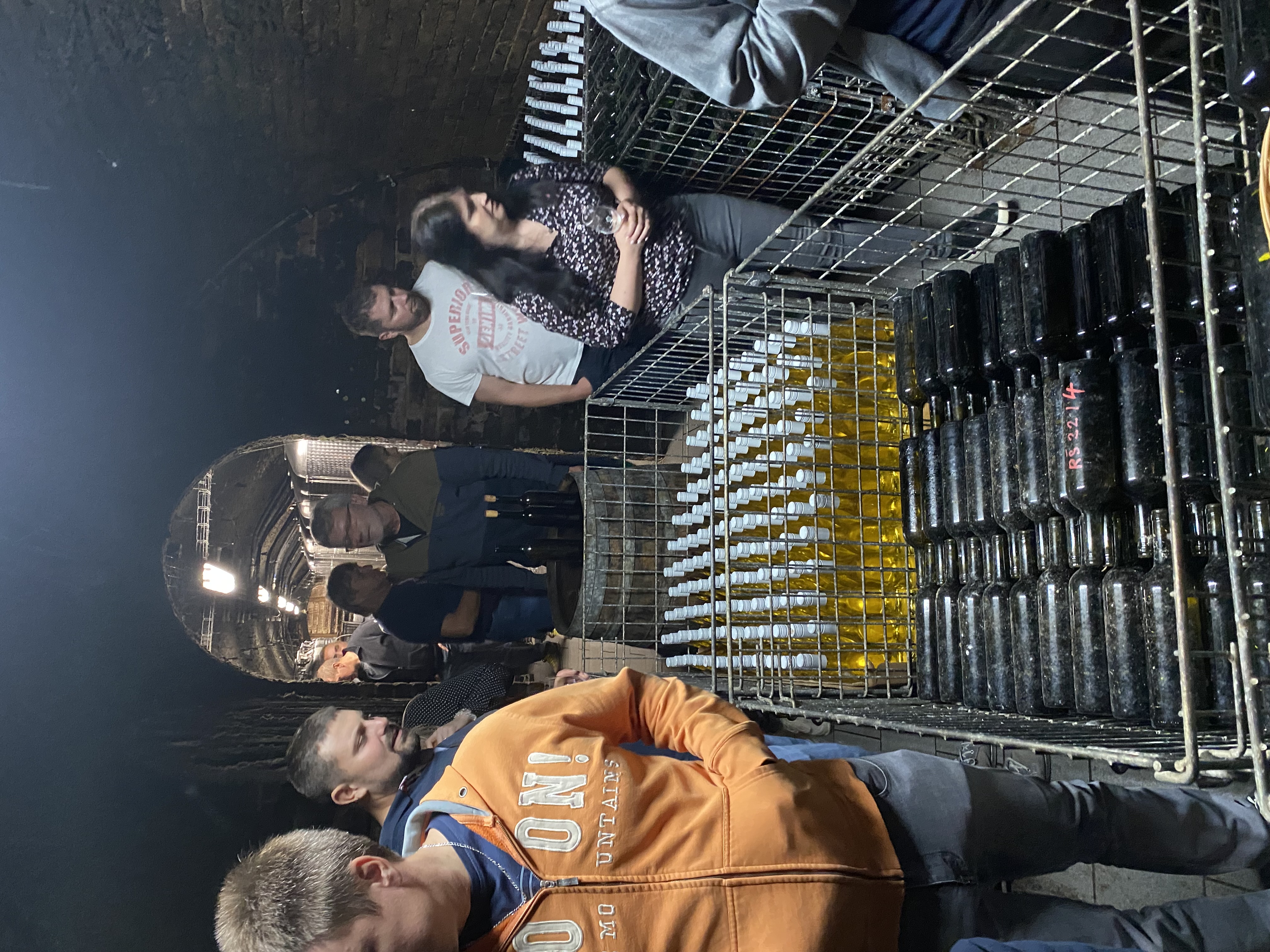 První vinařská, spol. s r.o. foto 5