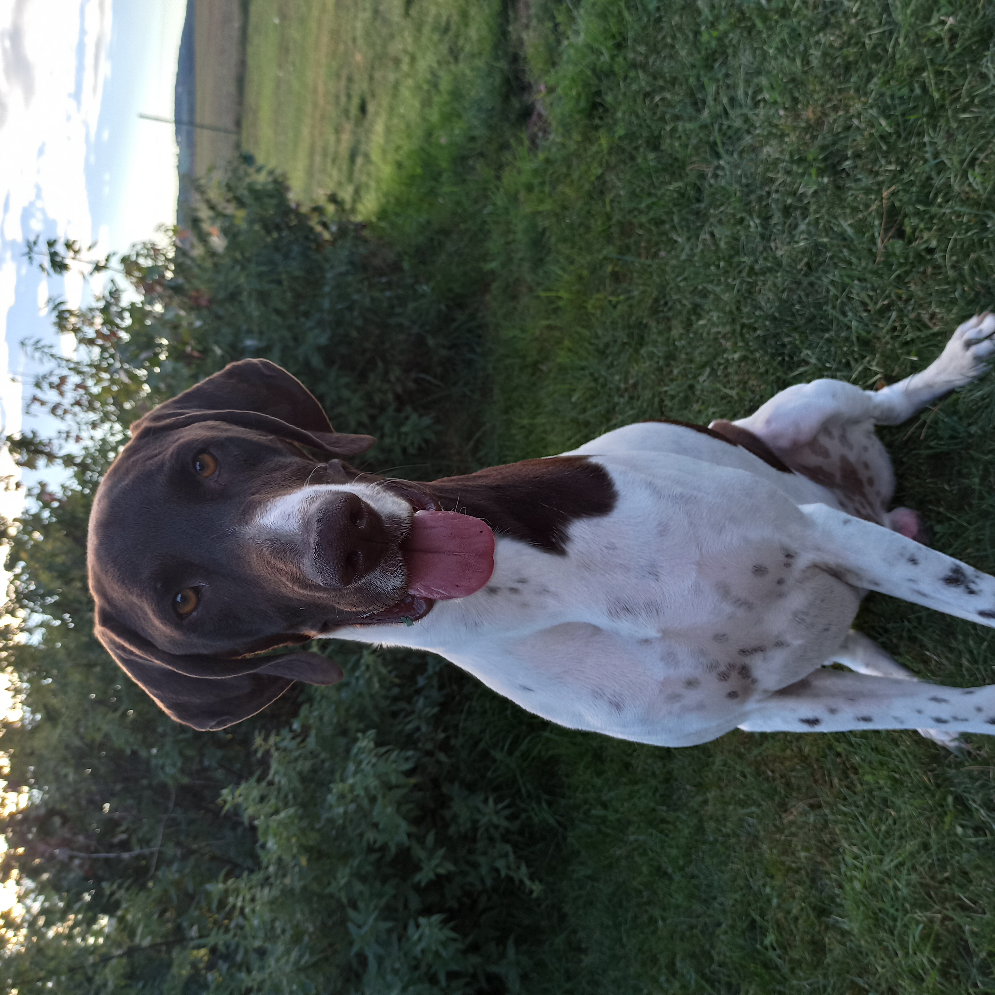 Veterinární nemocnice AA-Vet foto 4