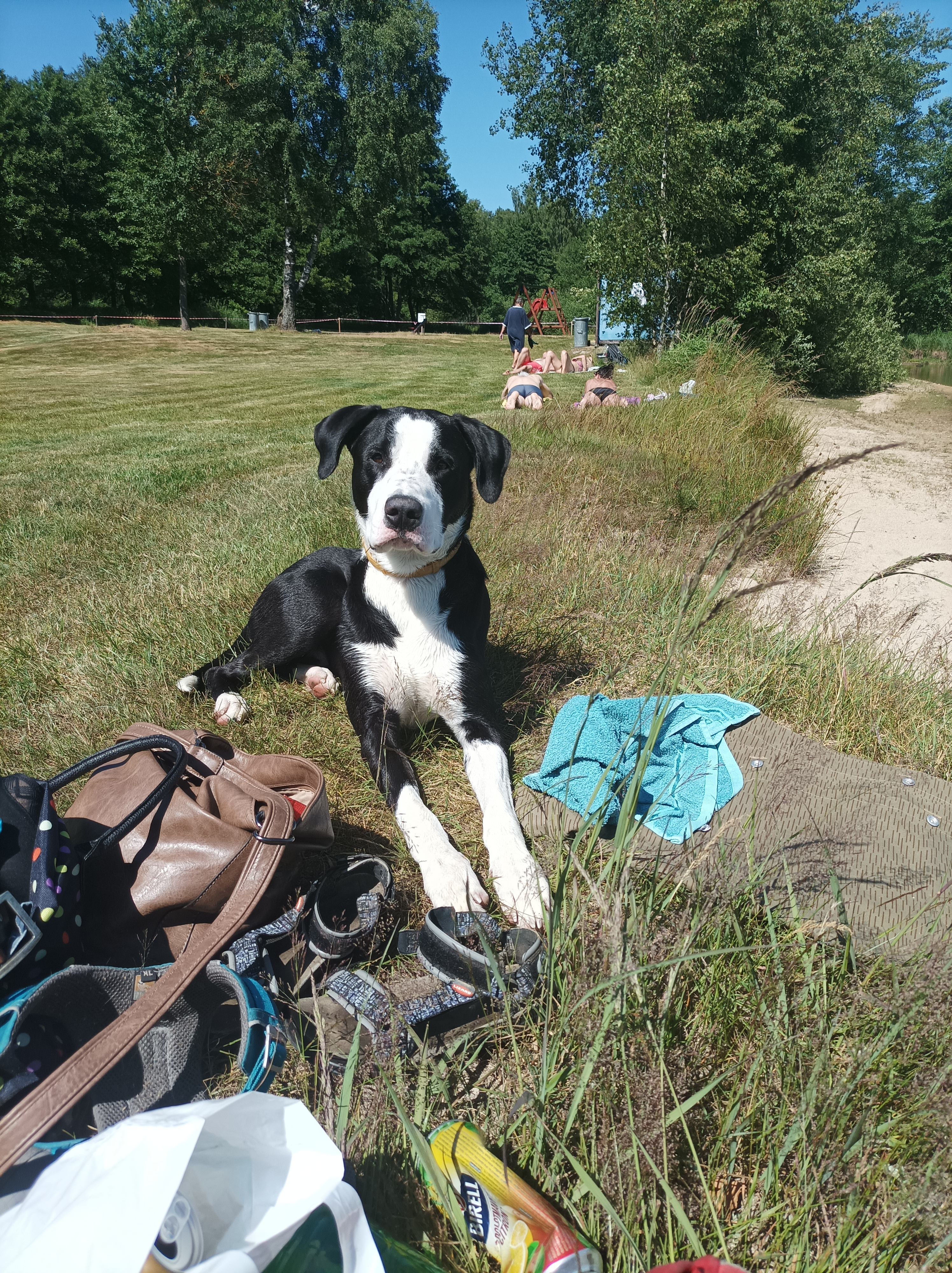 Chalupa Nový Vojířov č.p. 27 foto 6