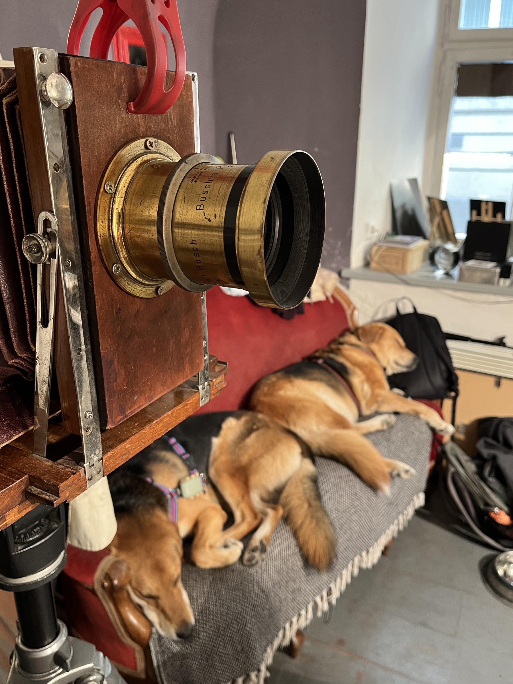 Fotograf na plech foto 2