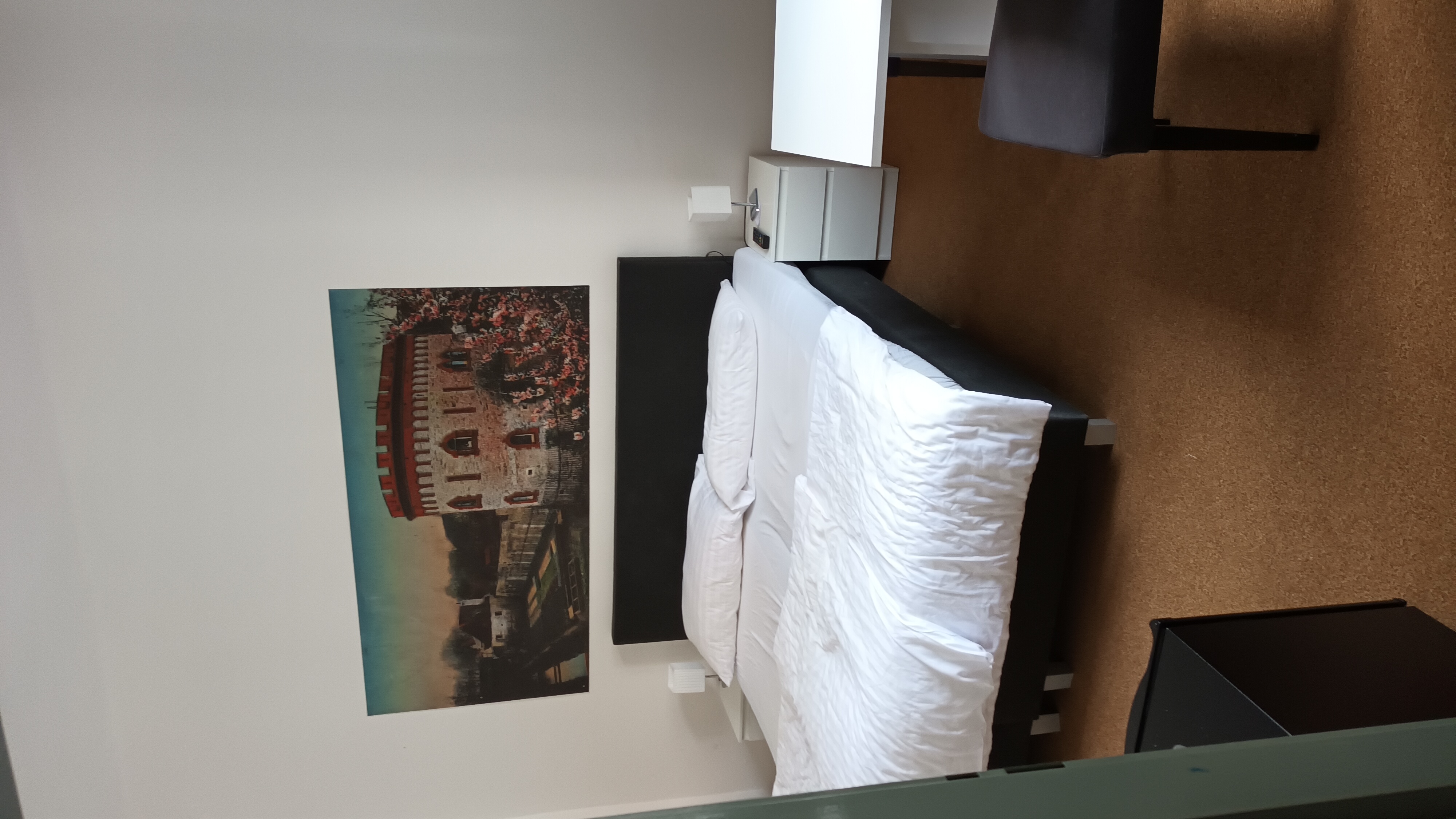 Hotel Bílý koníček foto 6
