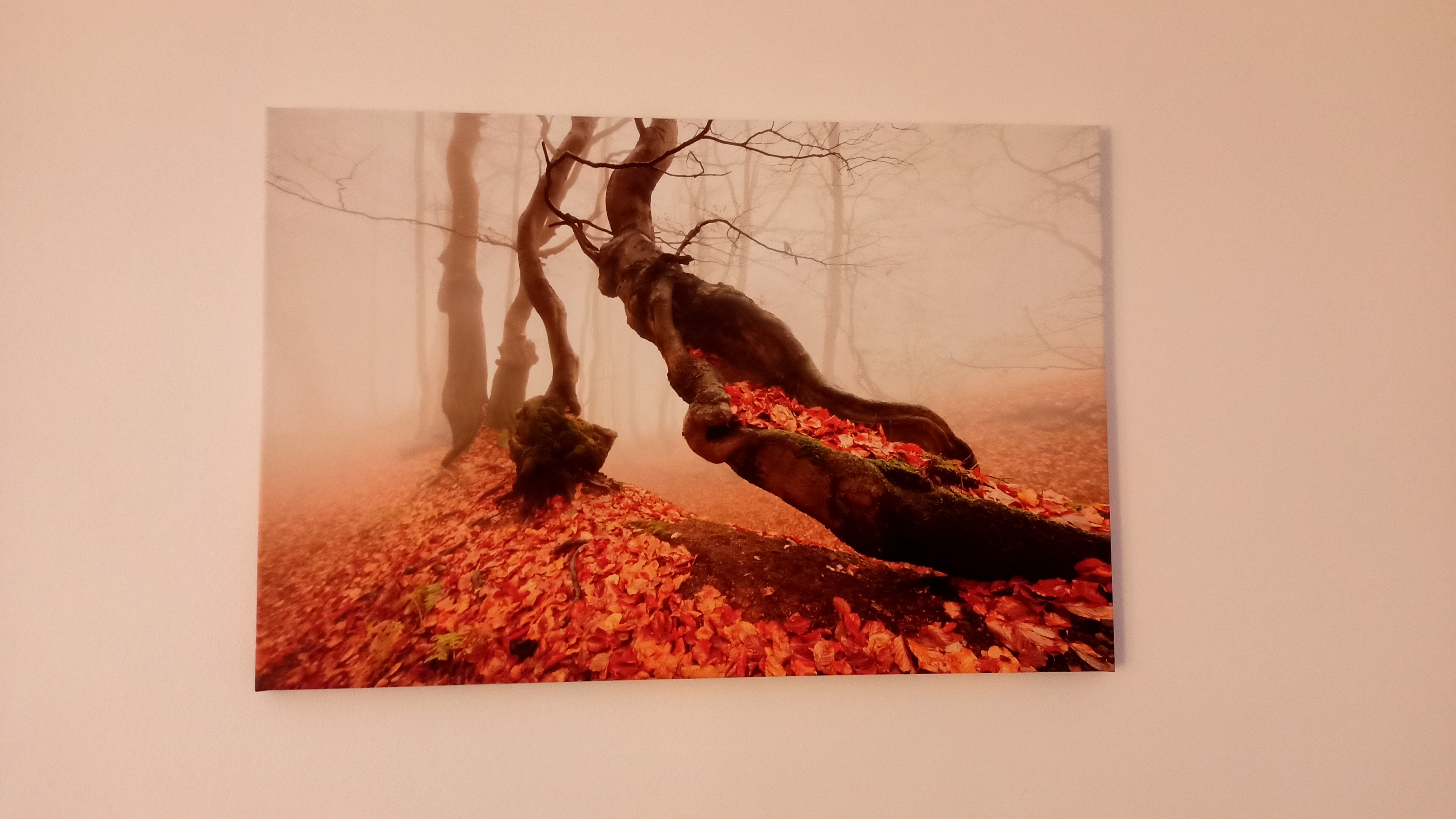 Fotograf Daniel Řeřicha - Phototours cz foto 2