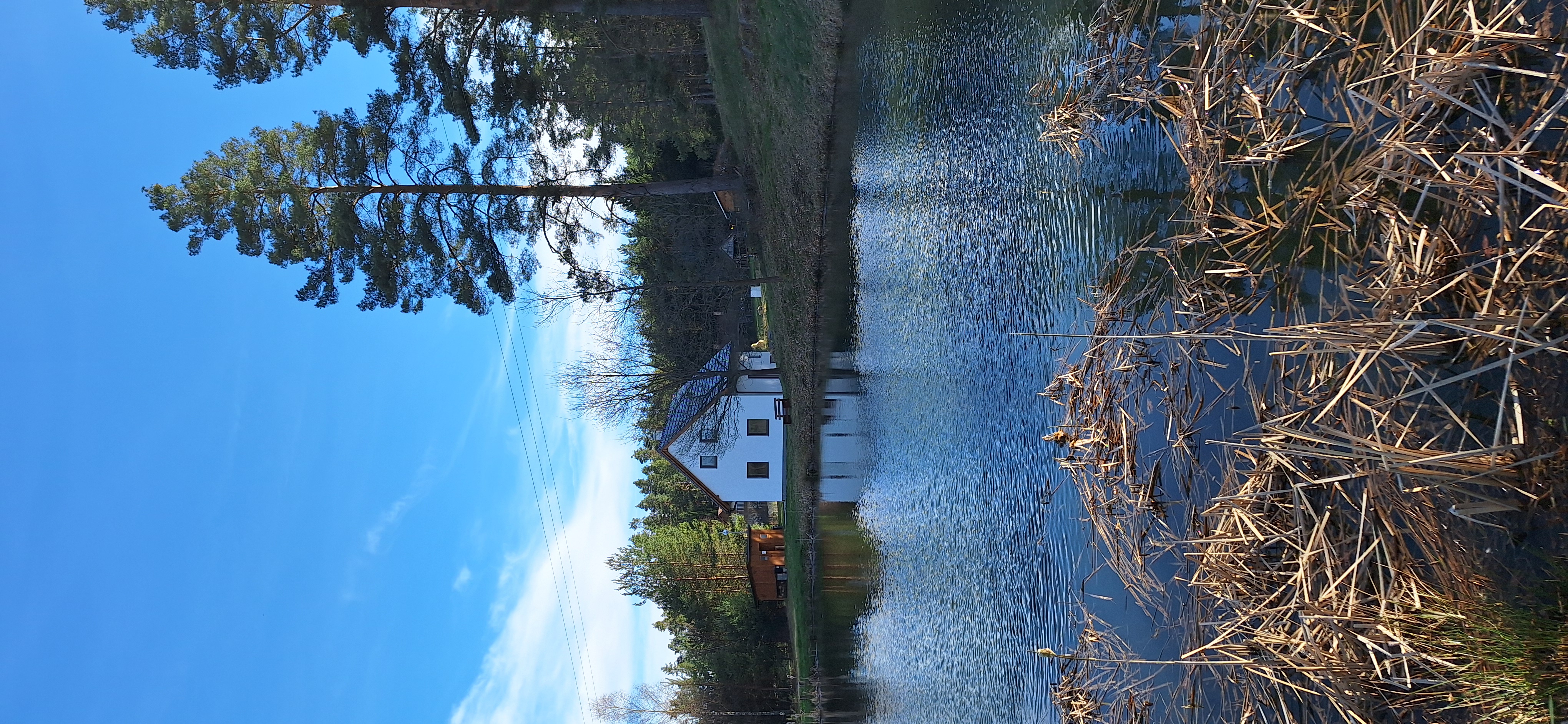 Klid na kraji lesa - celý dům foto 5