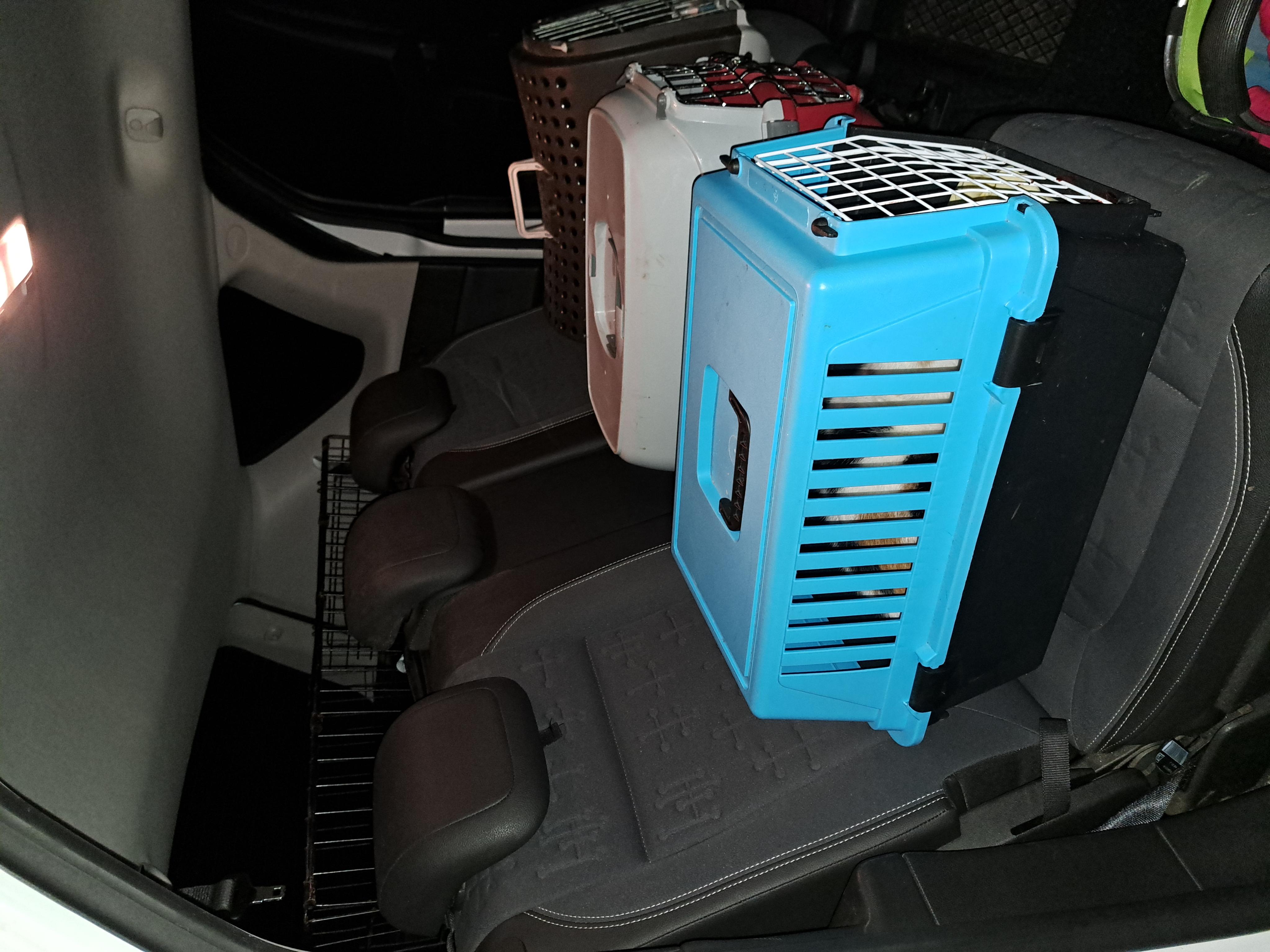 Veterinární ordinace Lažany foto 3