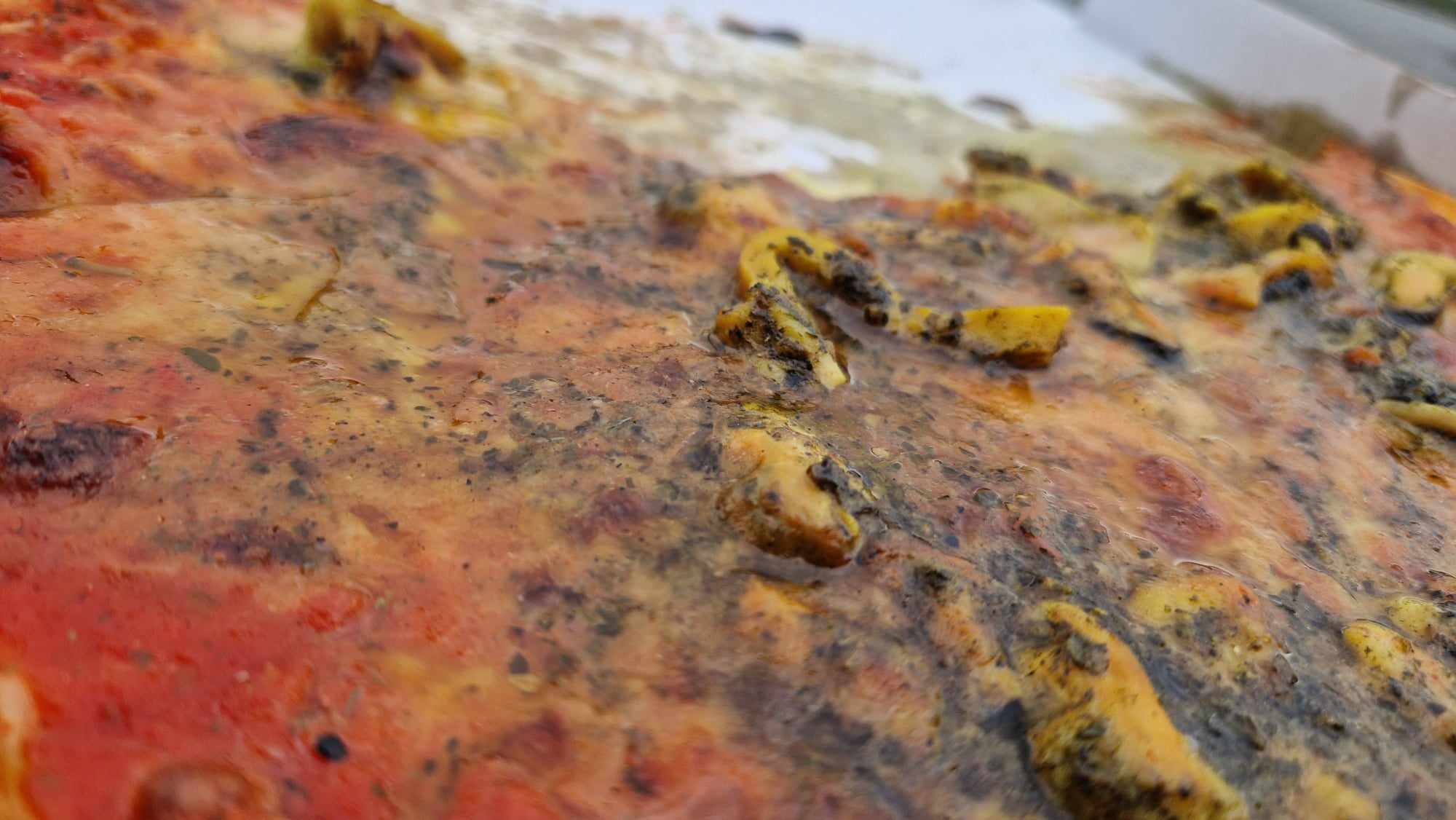 Pizzeria Ristorante Vyžlovka II foto 5