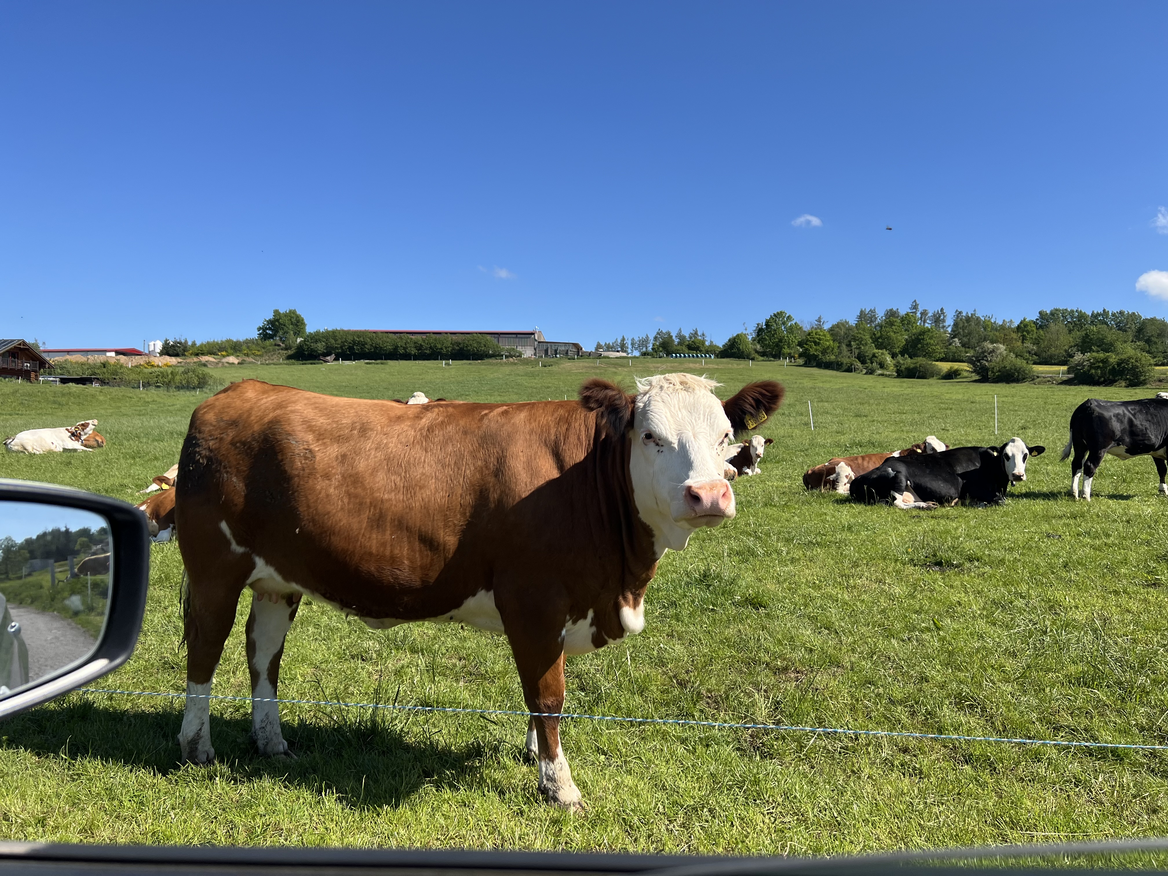 FARMA RODINY NĚMCOVY foto 6