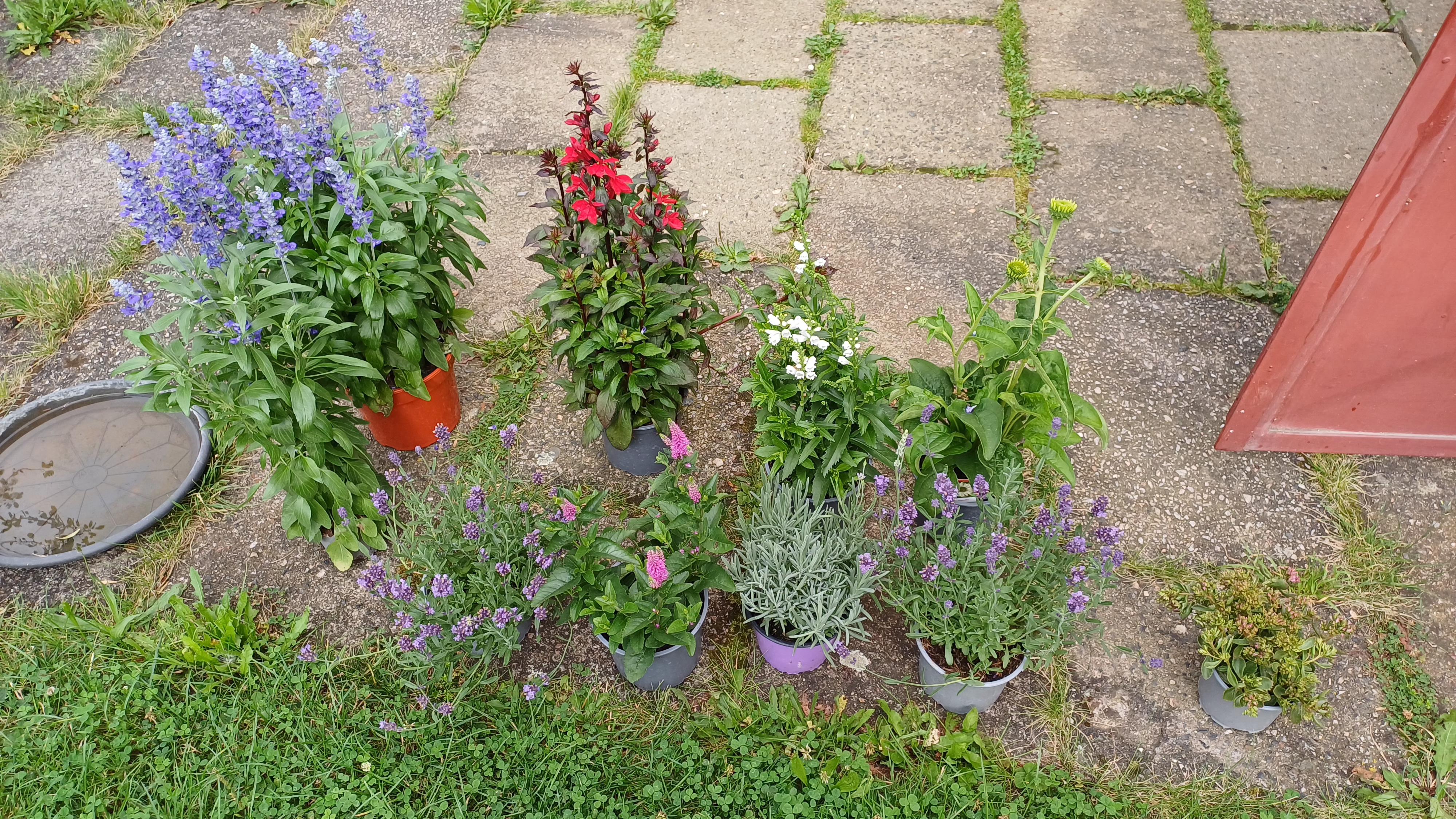 Zahradnictví - Tomáš Balda foto 2