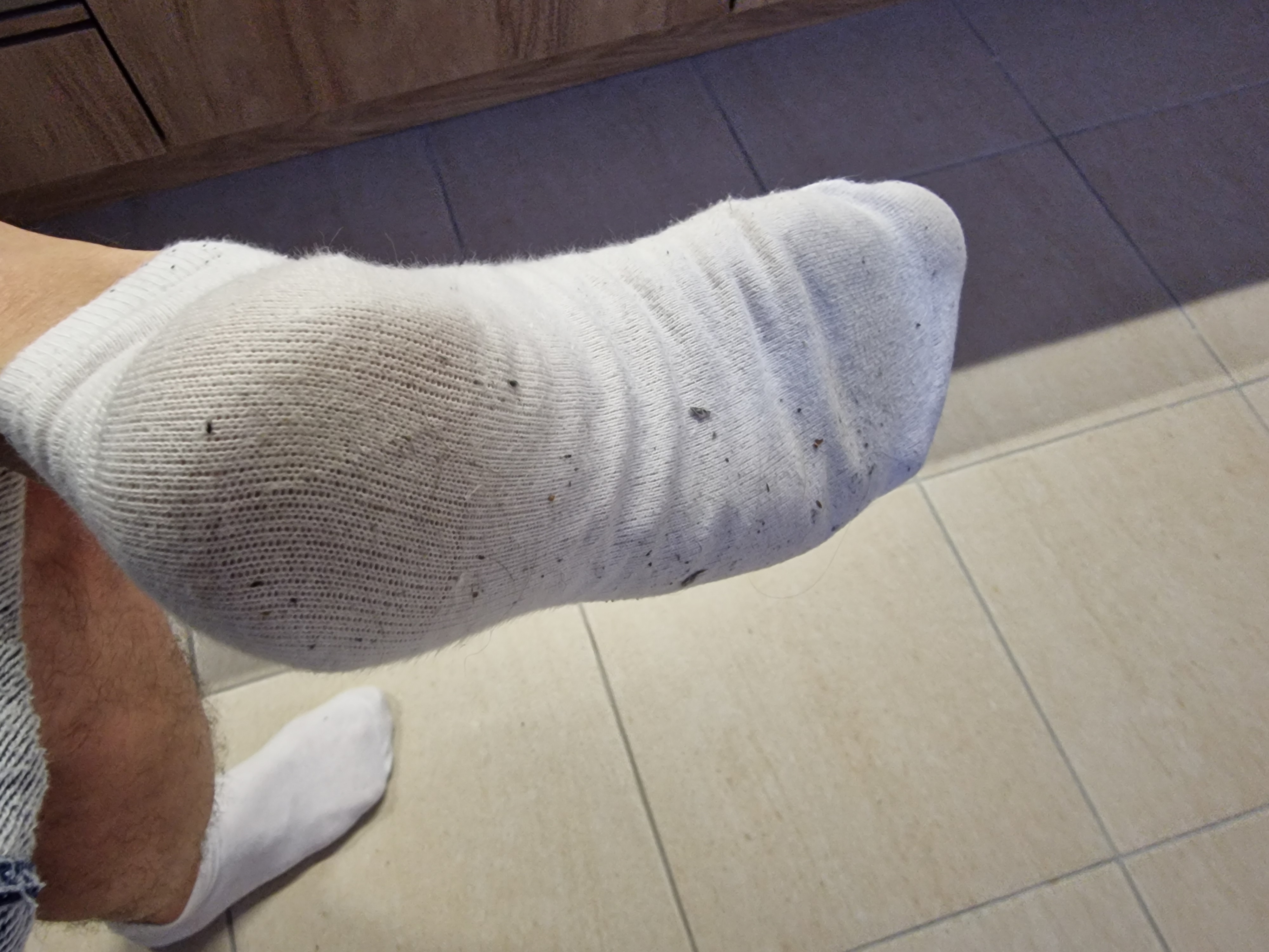 Penzion ČESKÁ FARMA foto 5