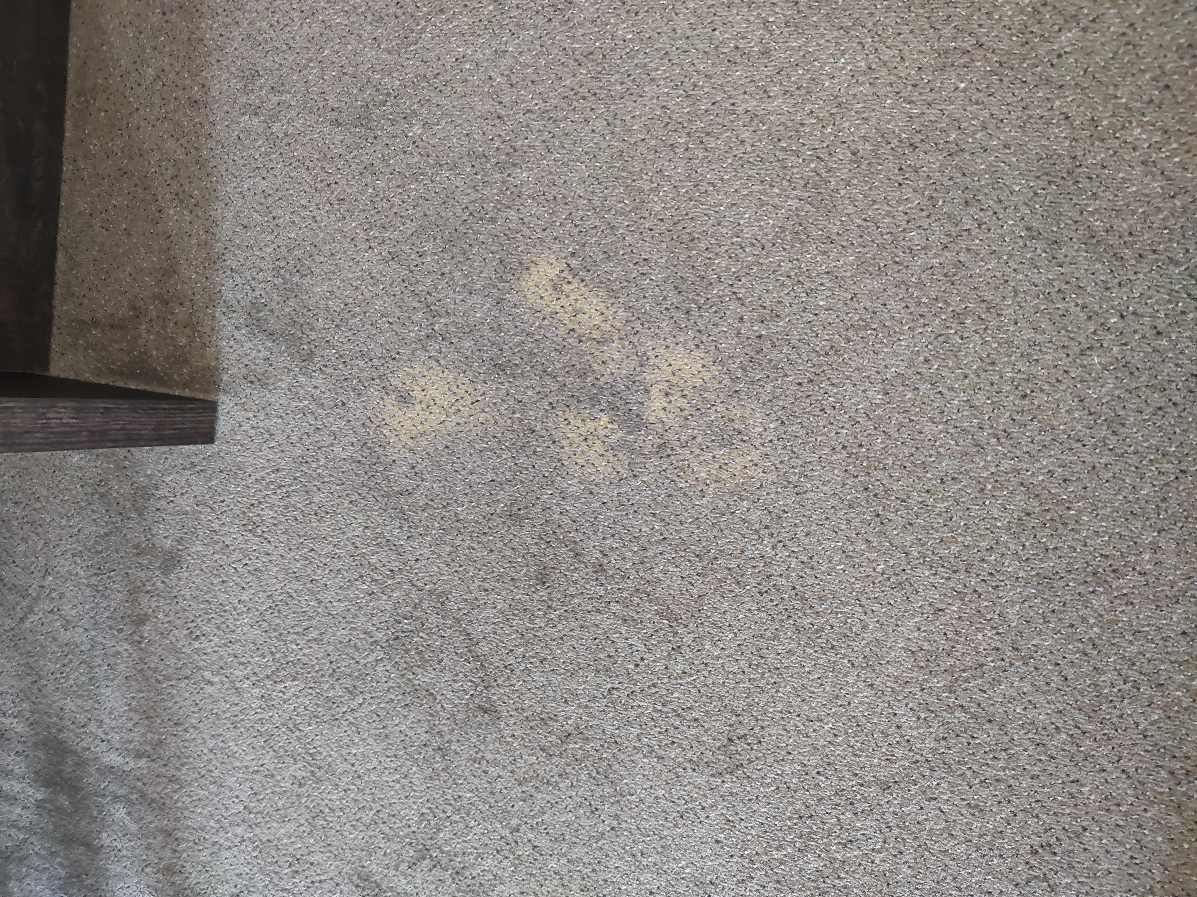 HOTEL Star Lipno foto 6