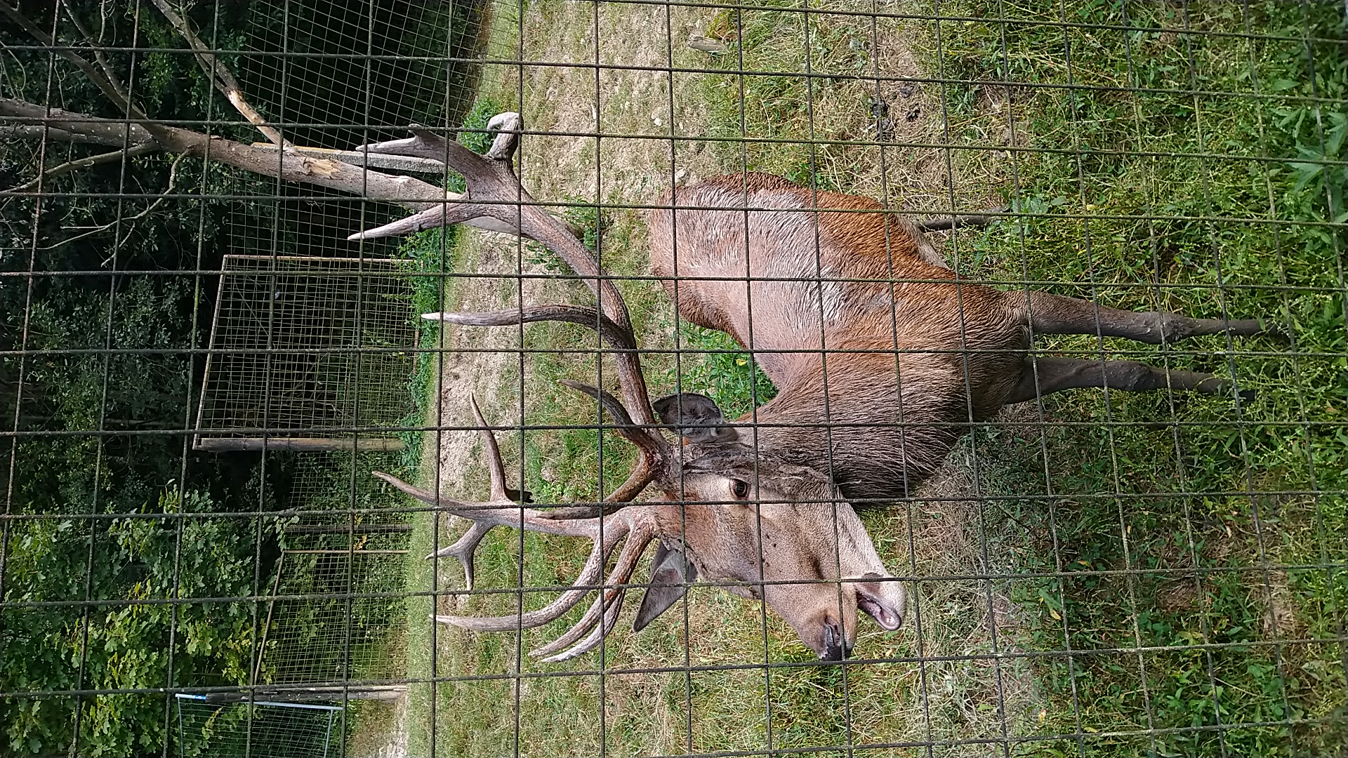 Chalupy u dančí a jelení obory foto 1