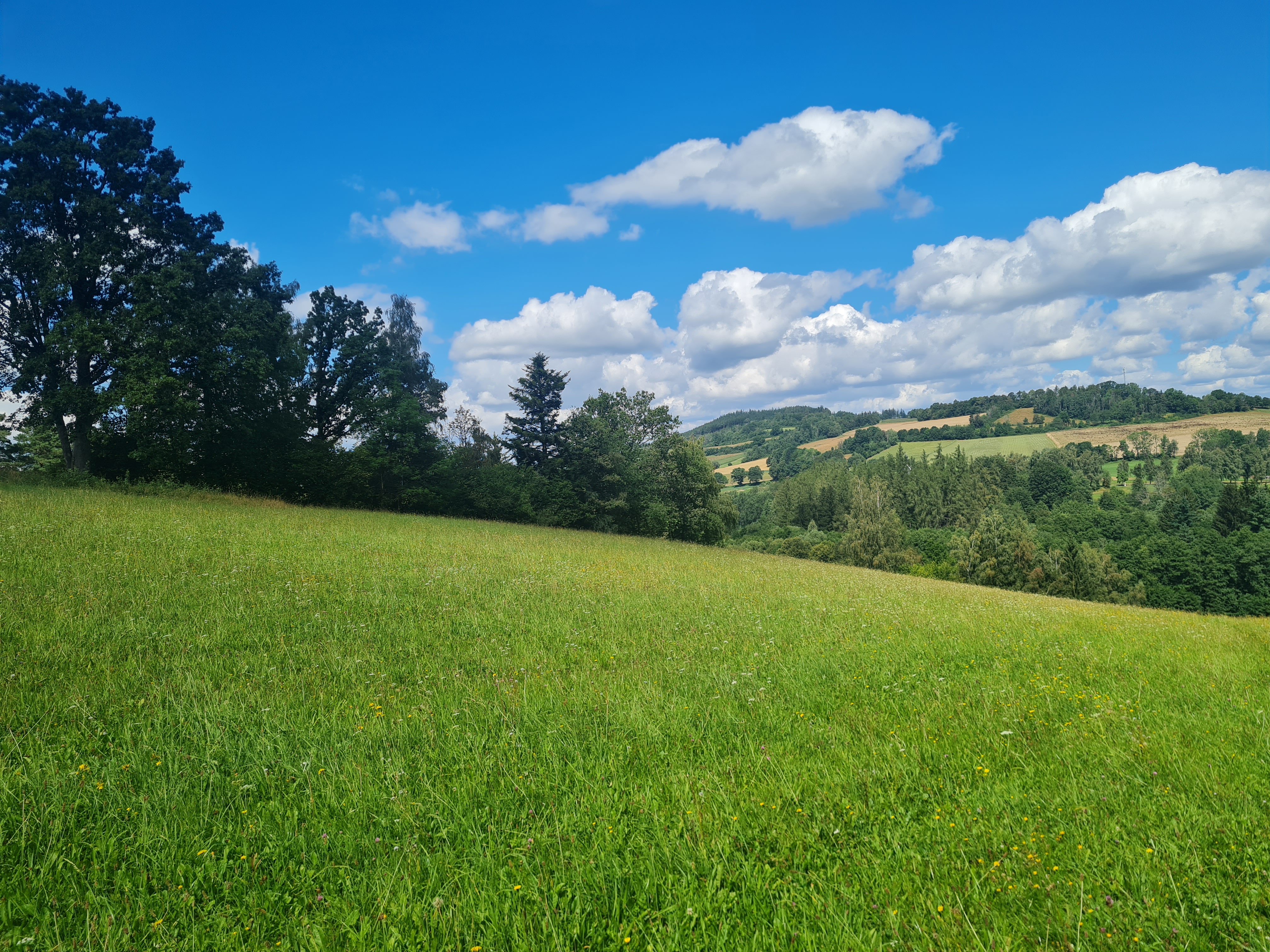 Občerstvení Bikepark Velhartice foto 4