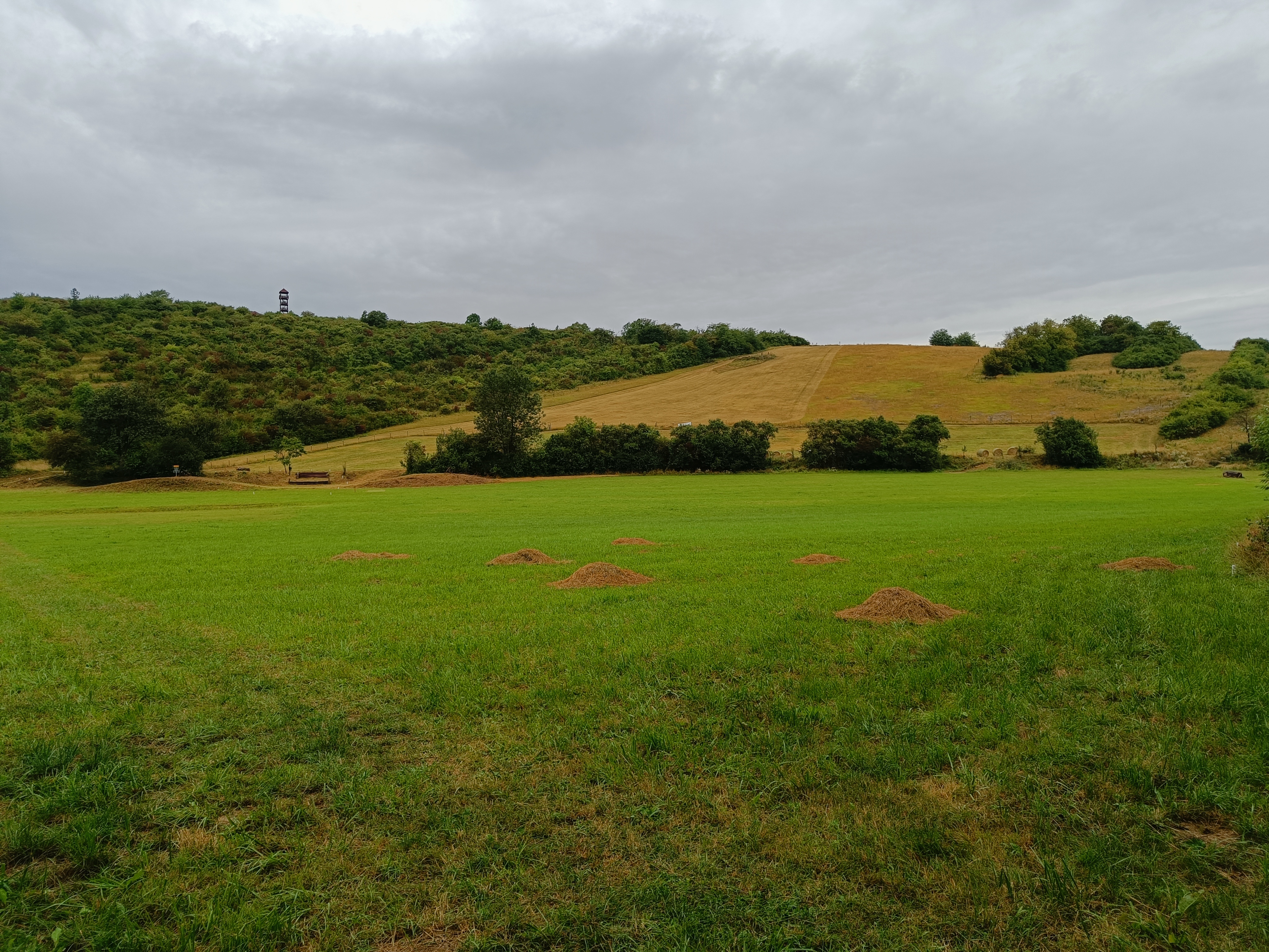 Grunt Galatík foto 5