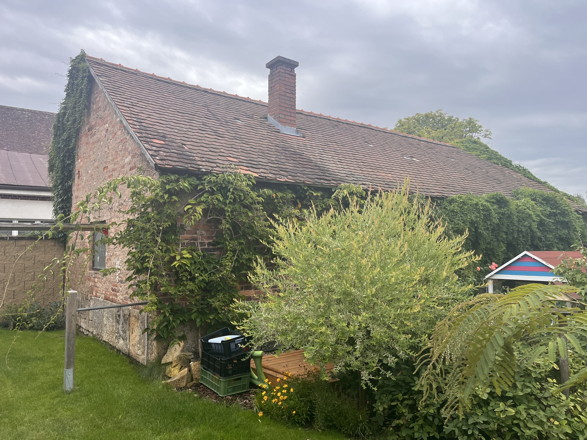 Zemní práce Petr Lukášek foto 4