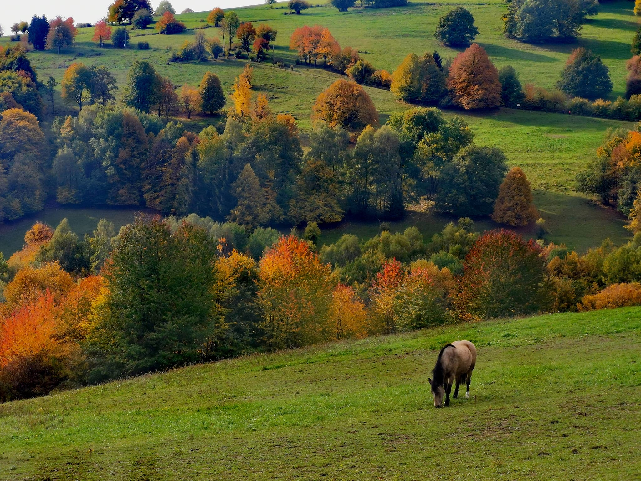 Odpočívadlo u Hajtmanů foto 3