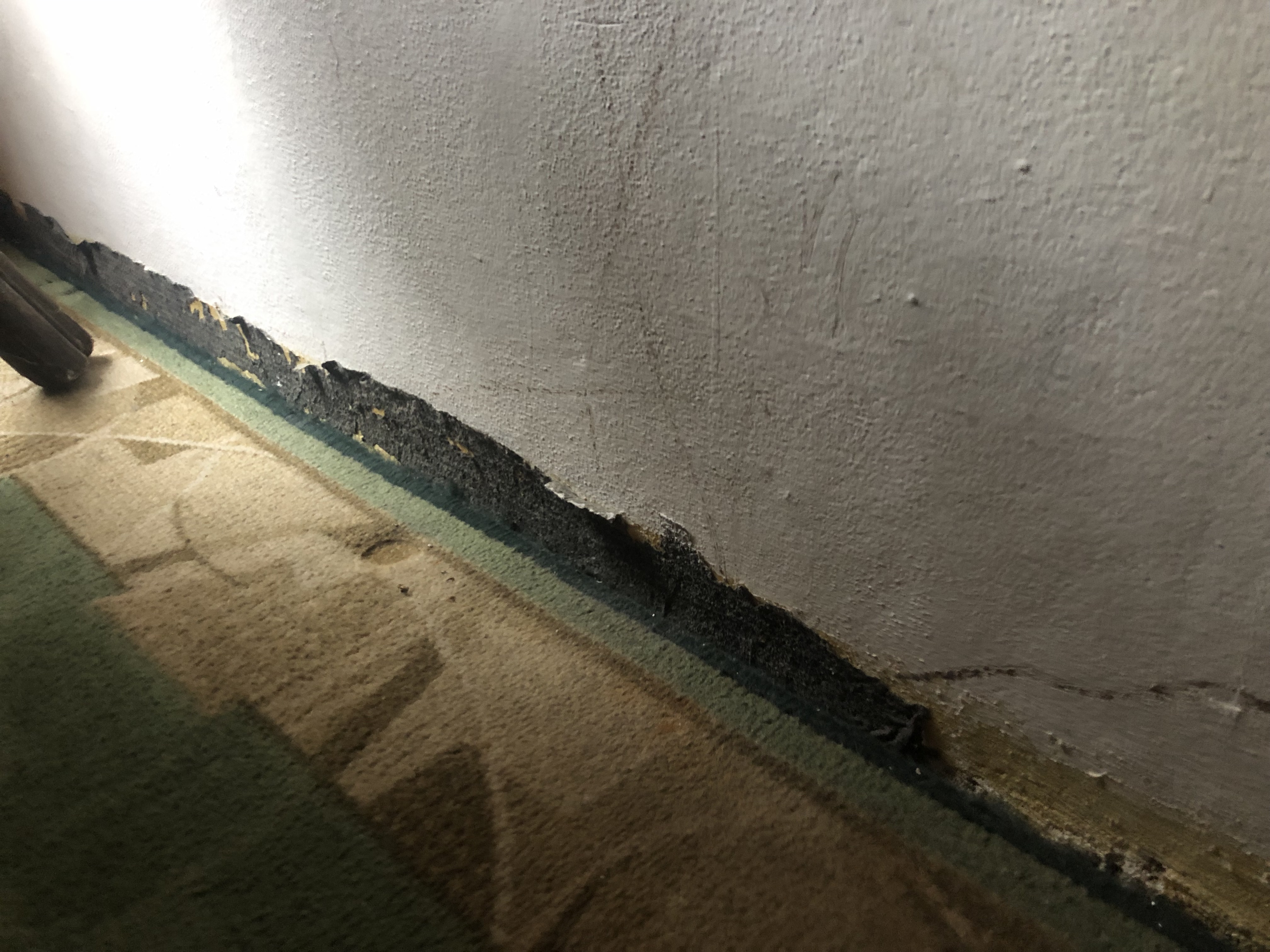 Ubytování Harrachov 90 foto 3