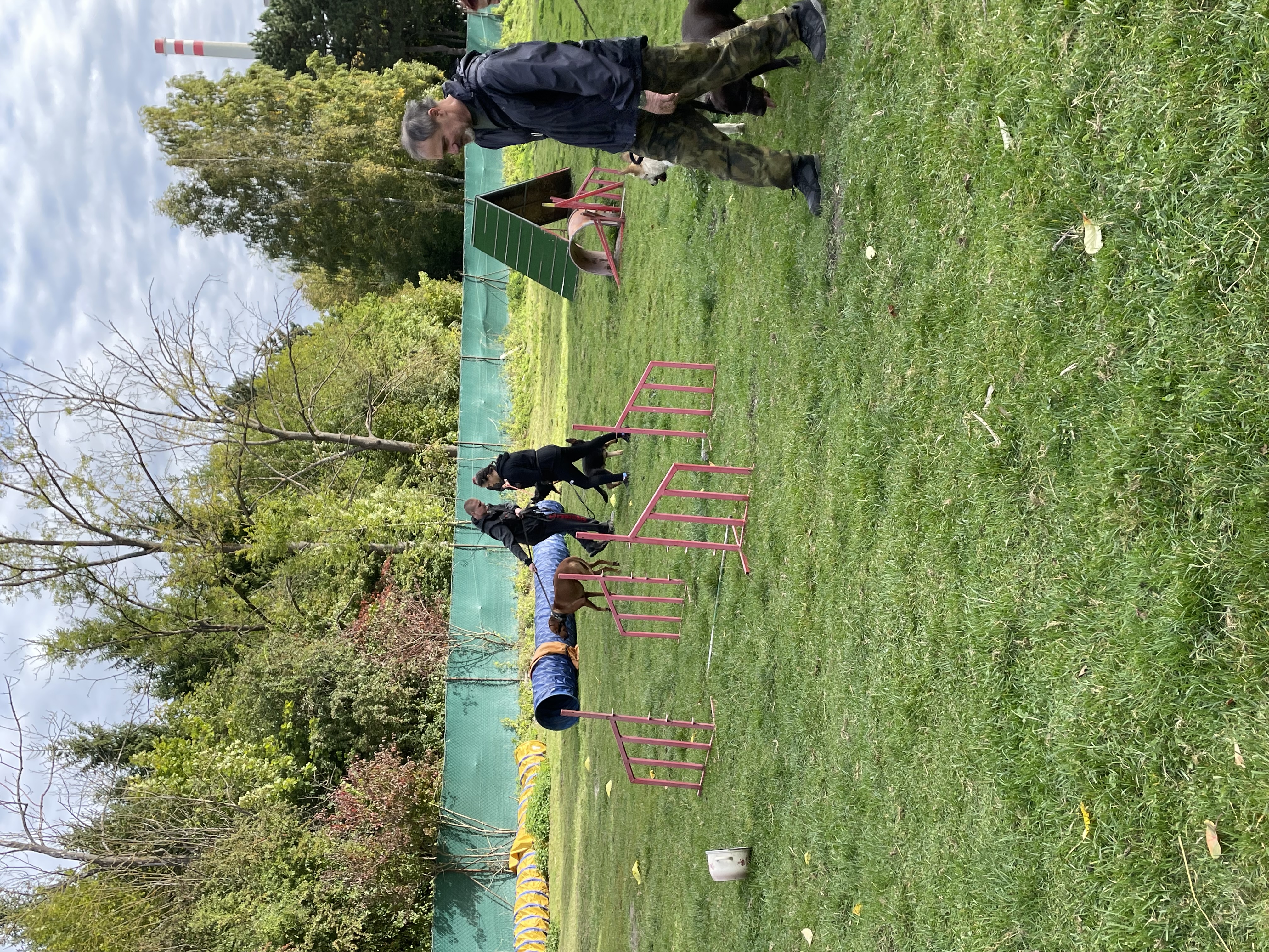 Psí školička ŠA-GA foto 4