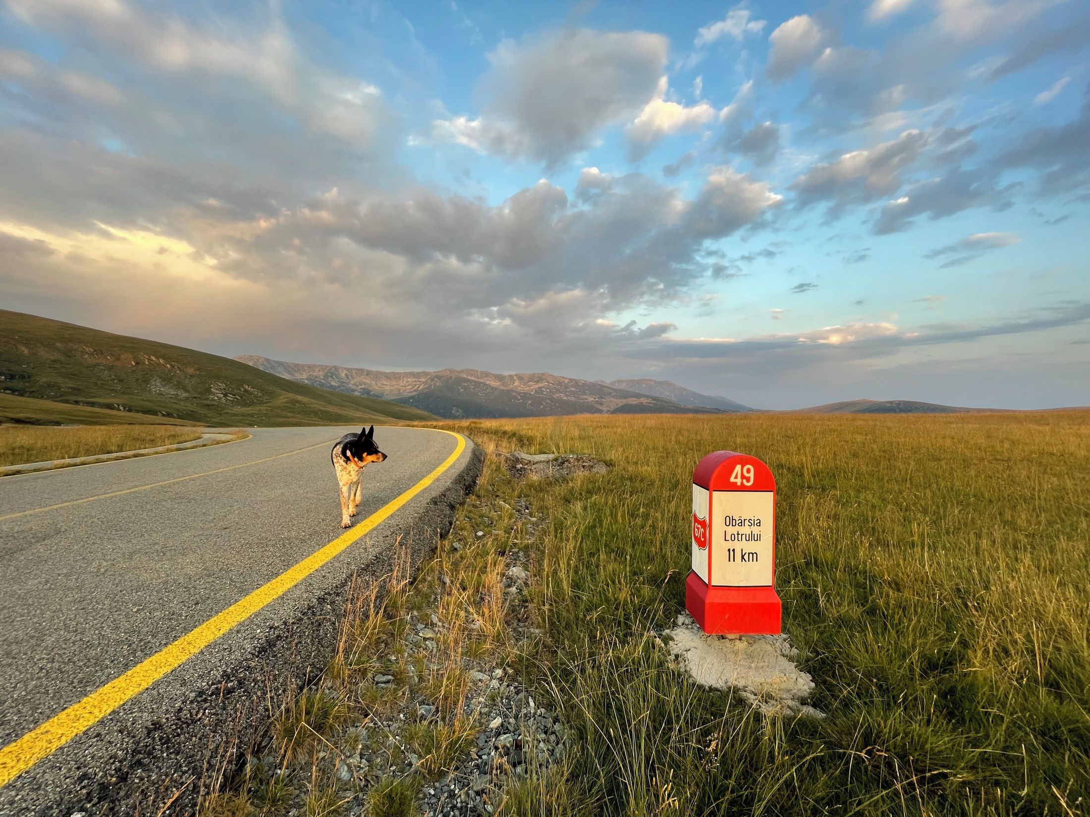 Transalpina