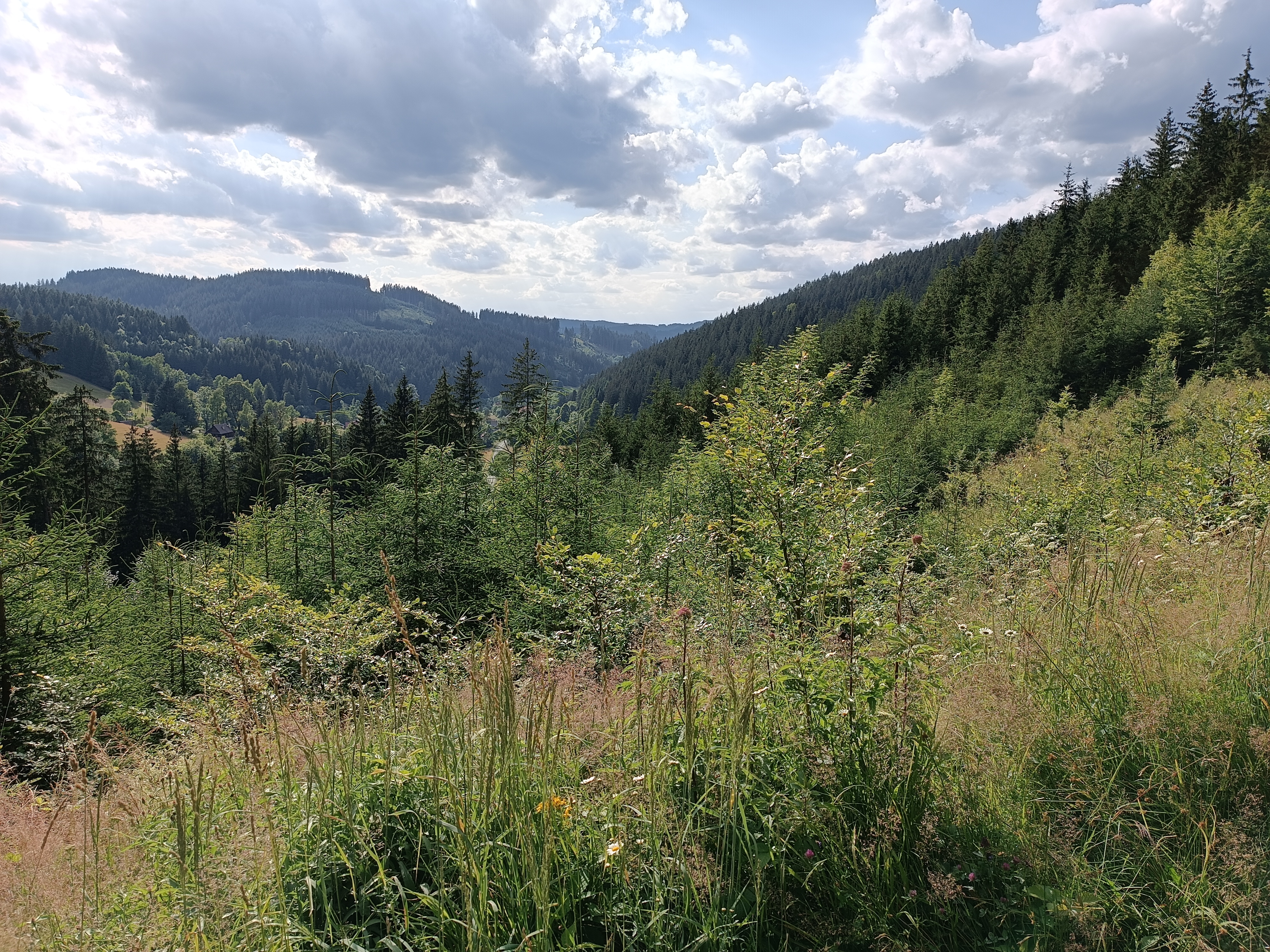 Apartmán Polanský Dvůr - A5 foto 2