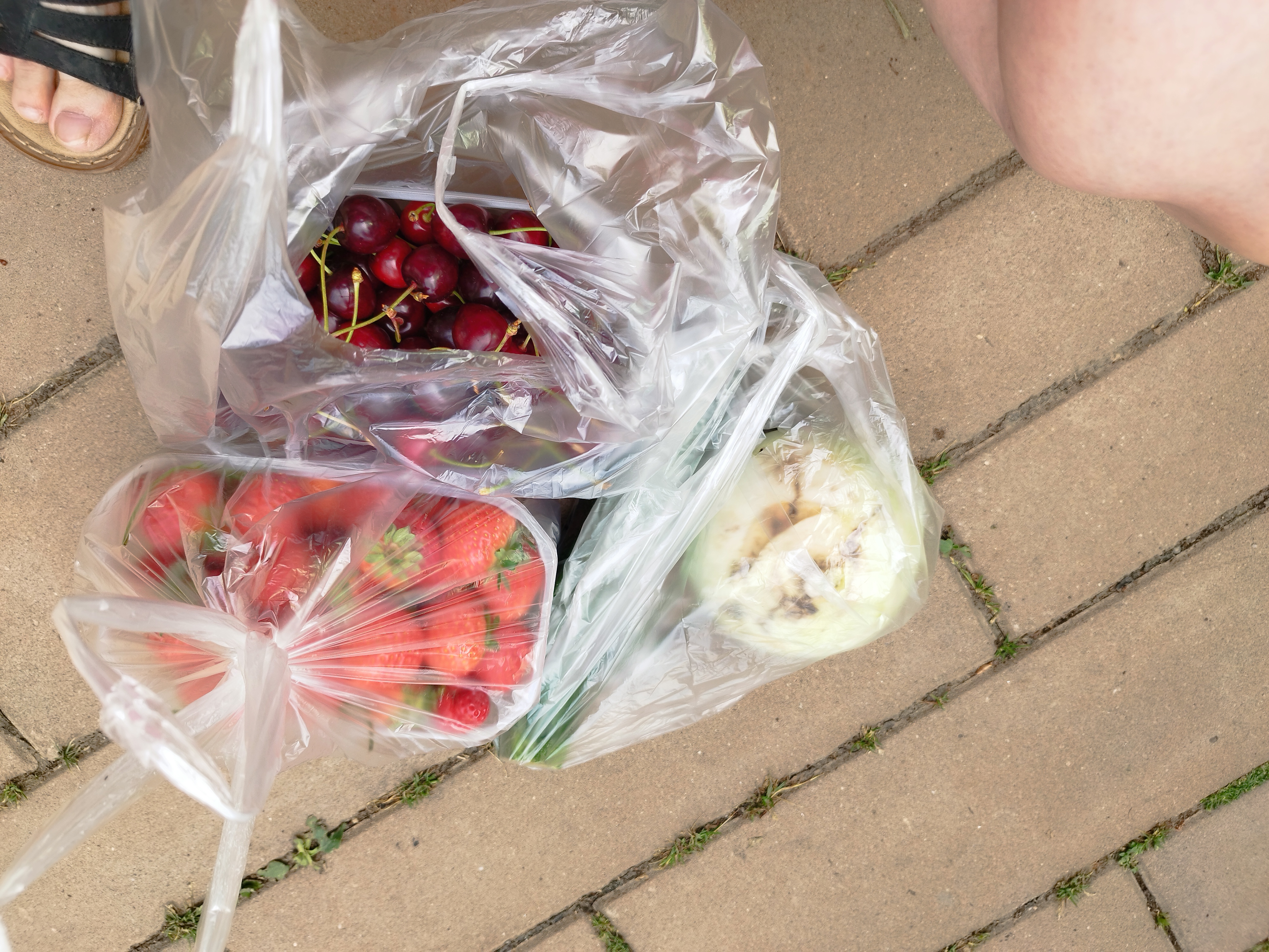 Hana Muchová - ovocnářství a vinařství foto 5