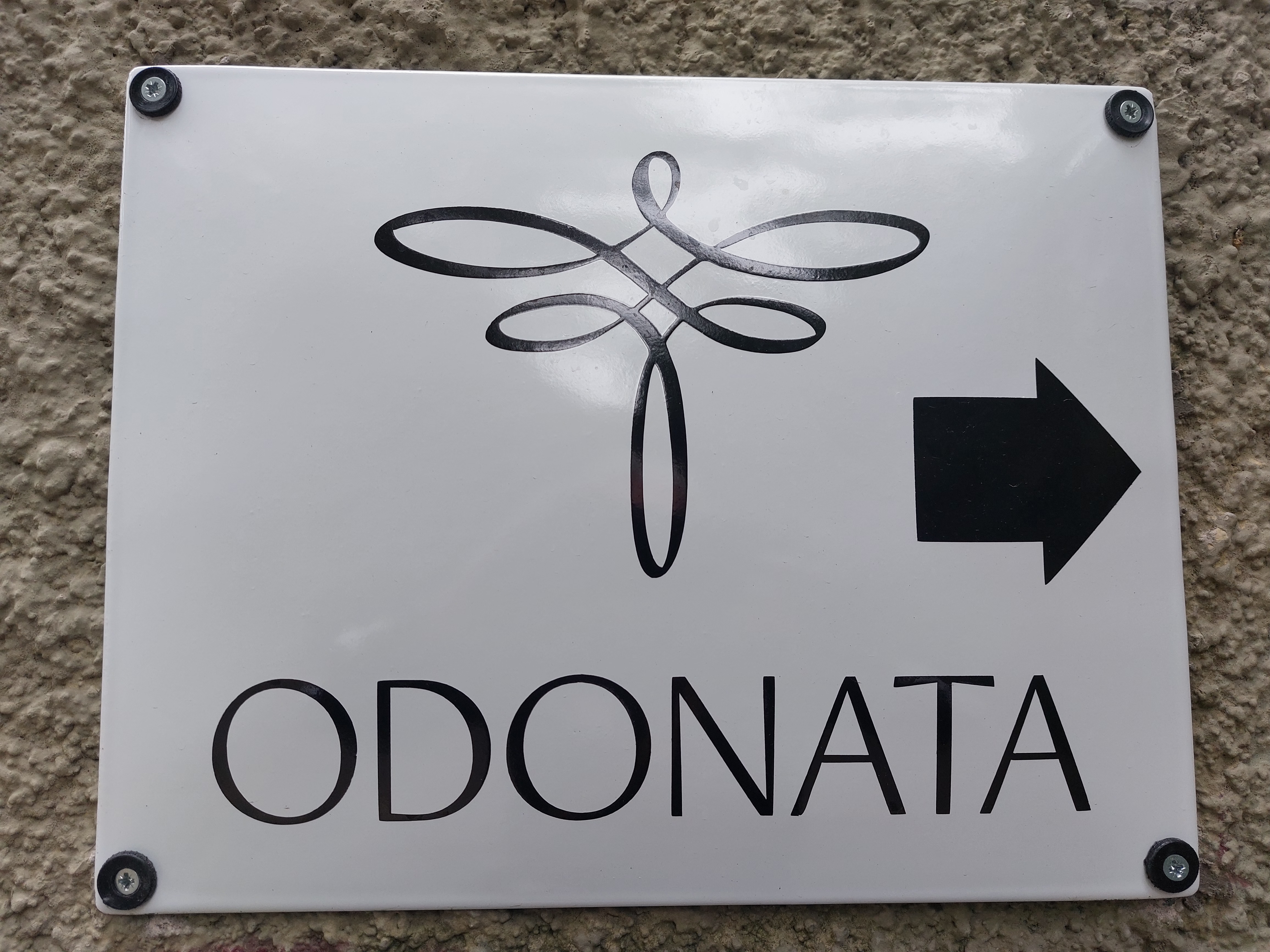 Bára Jurkovičová - bodywork a koučink foto 6