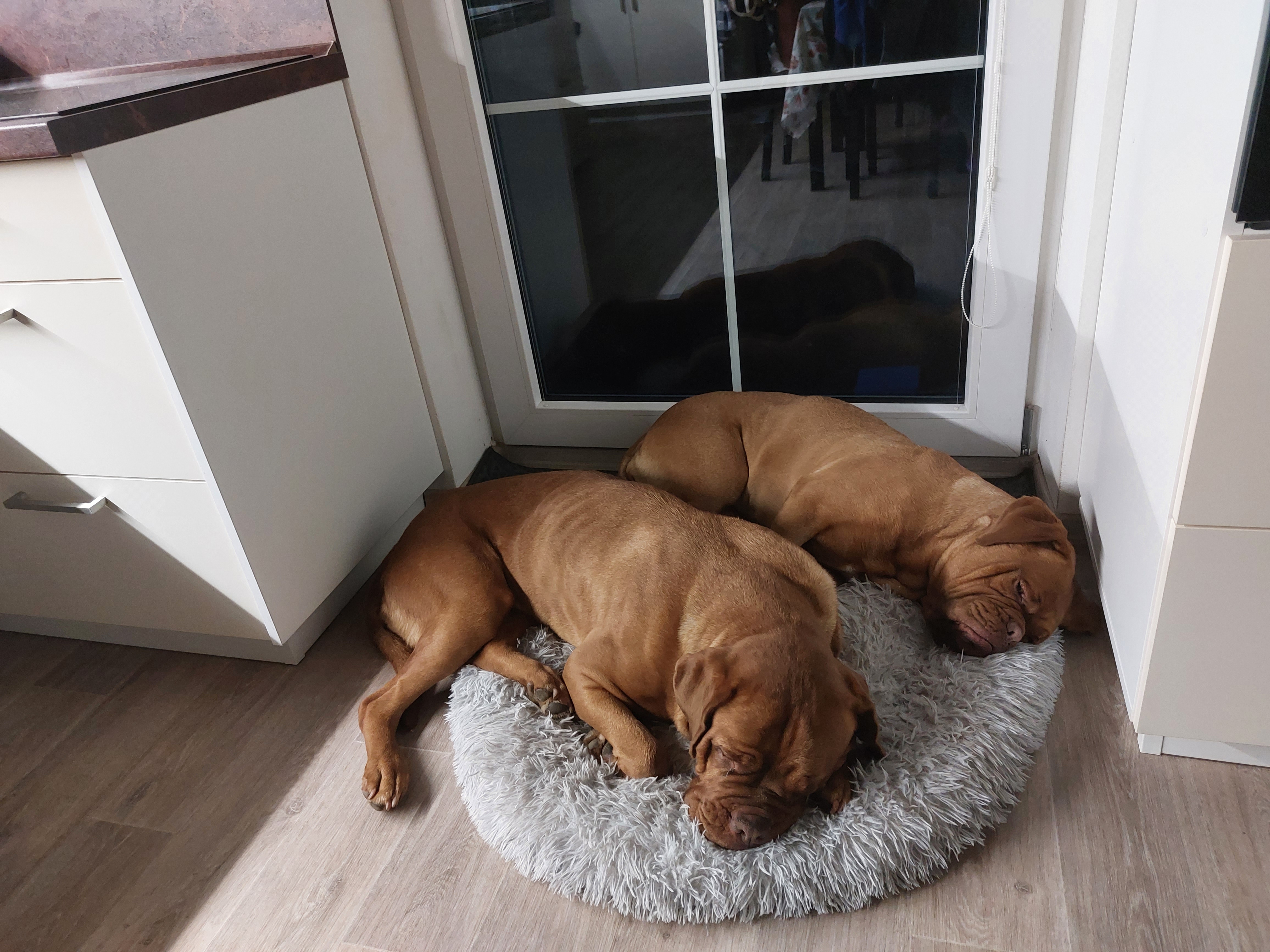 ŠEROVET, s.r.o. foto 2