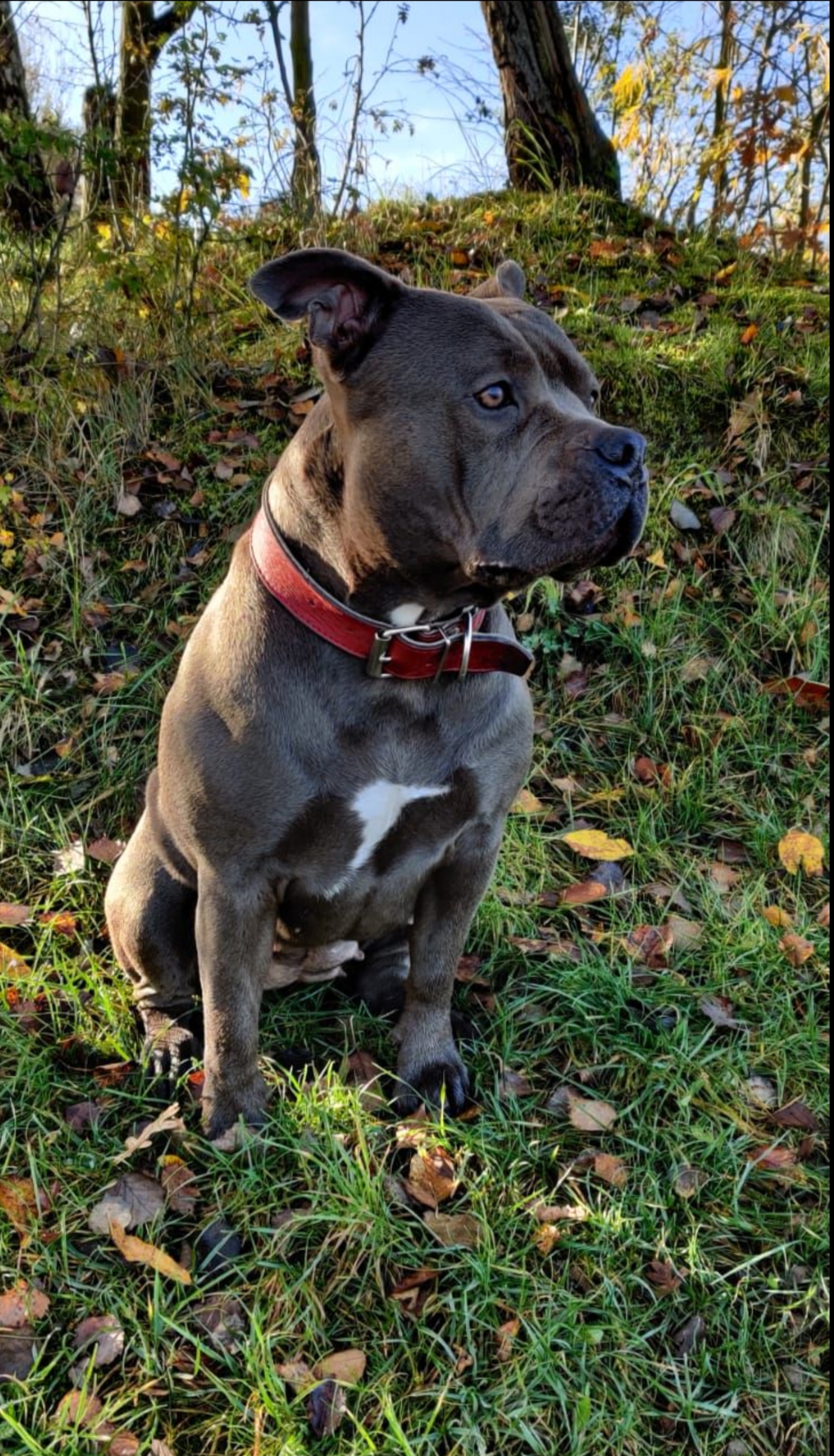 Veterinární klinika LIFE, s.r.o. foto 5