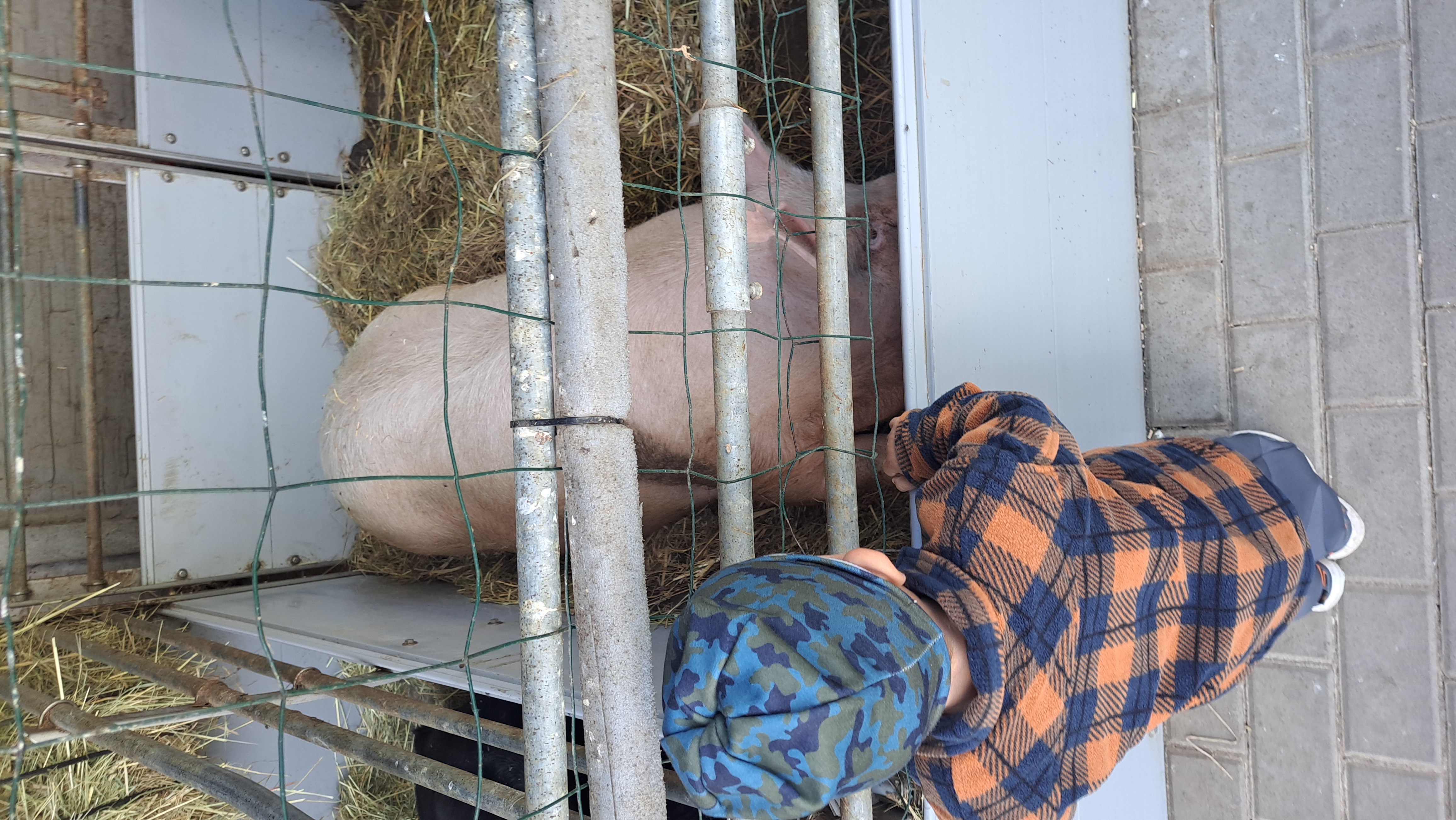 Hopík Aréna Choťovice foto 4