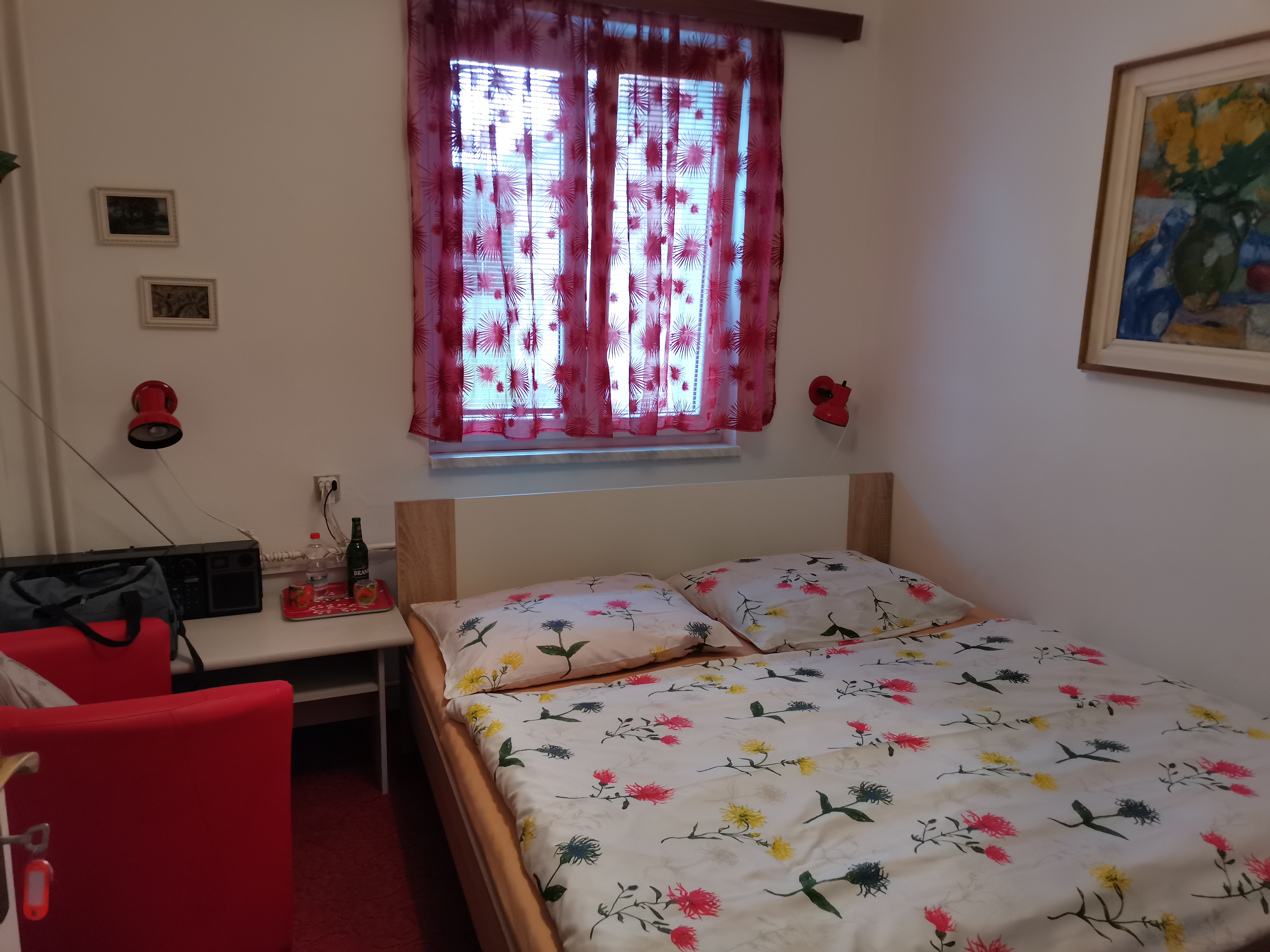 Pension Závodský foto 4